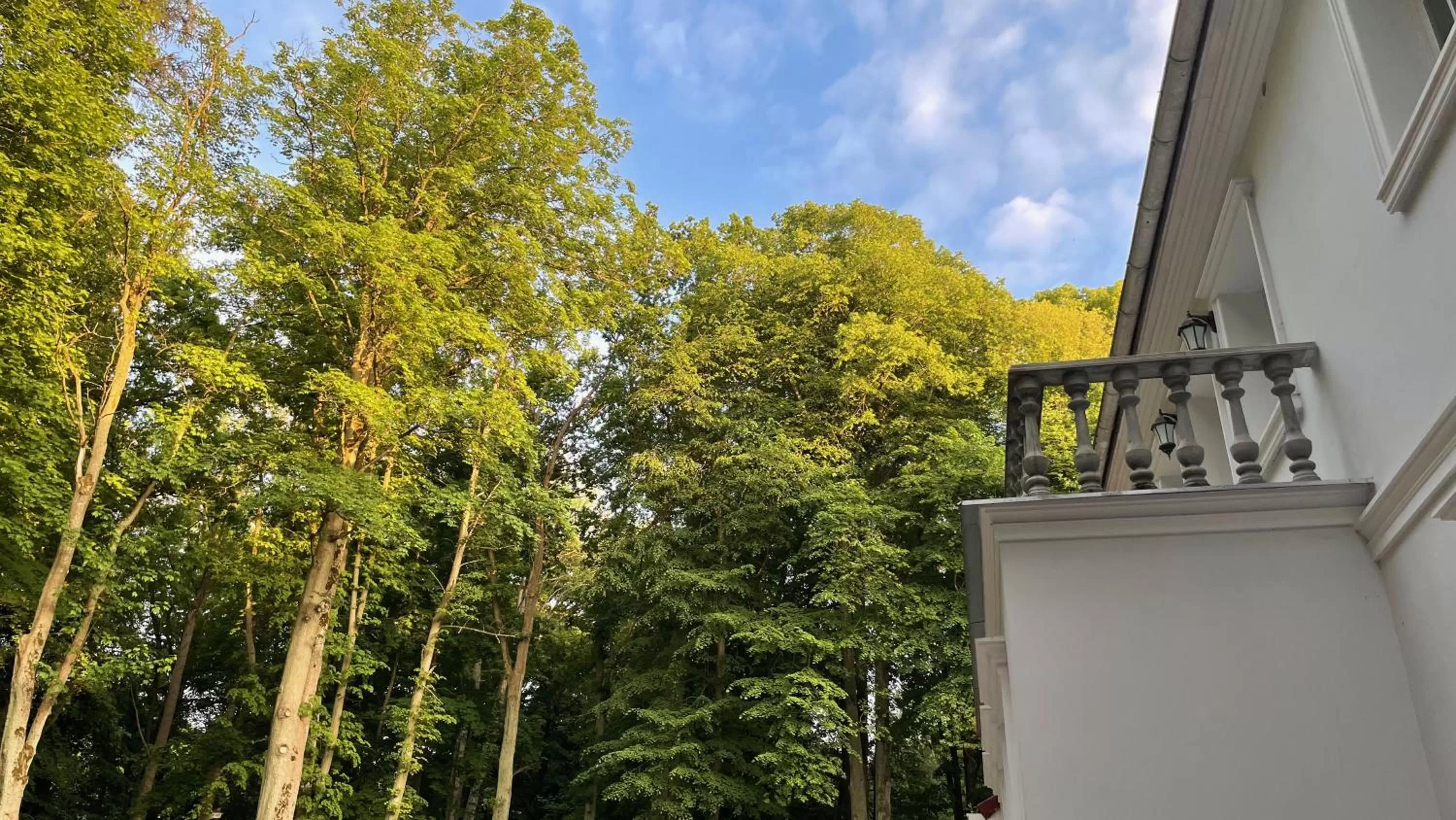 Balcony/Terrace in Villa ANSER