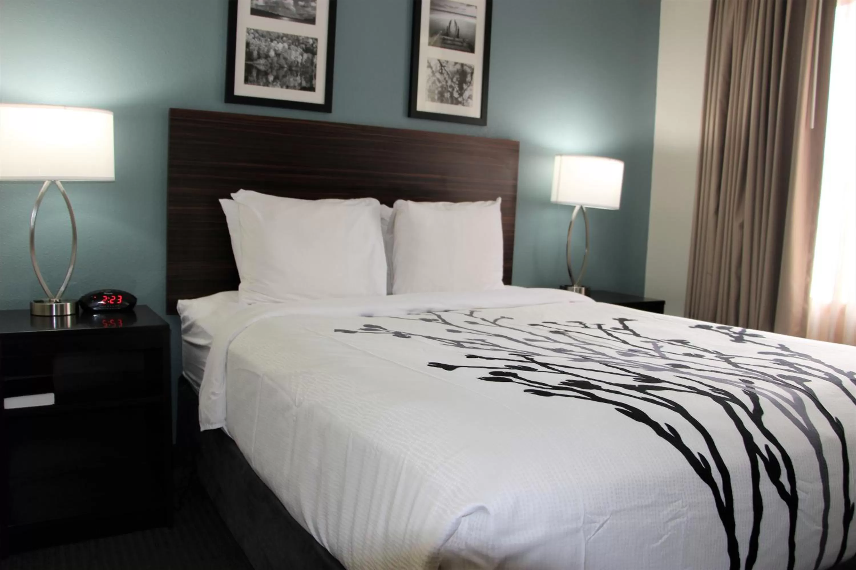 Photo of the whole room, Bed in Sleep Inn Chattanooga Hamilton Place