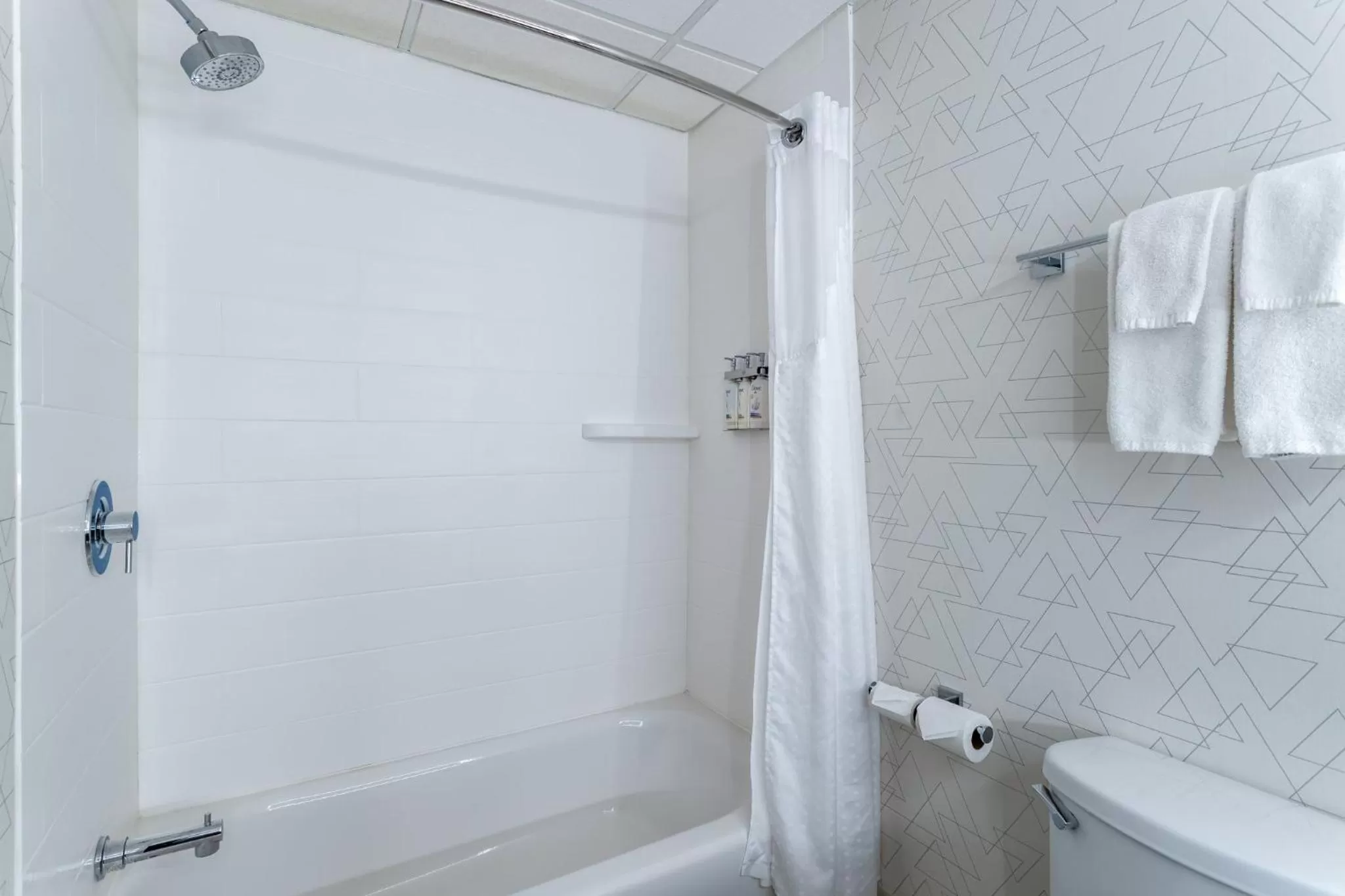 Bathroom in Holiday Inn Express Hotel & Suites-St. Paul by IHG