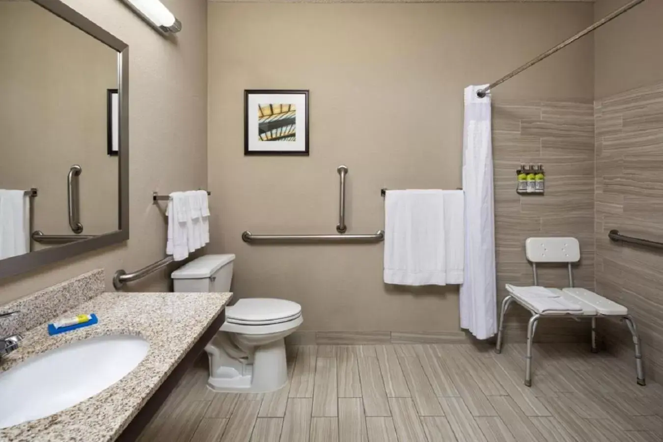 Shower, Bathroom in Holiday Inn Express Hotel & Suites Minneapolis - Minnetonka, an IHG Hotel