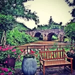 Natural landscape in Hotel Visão