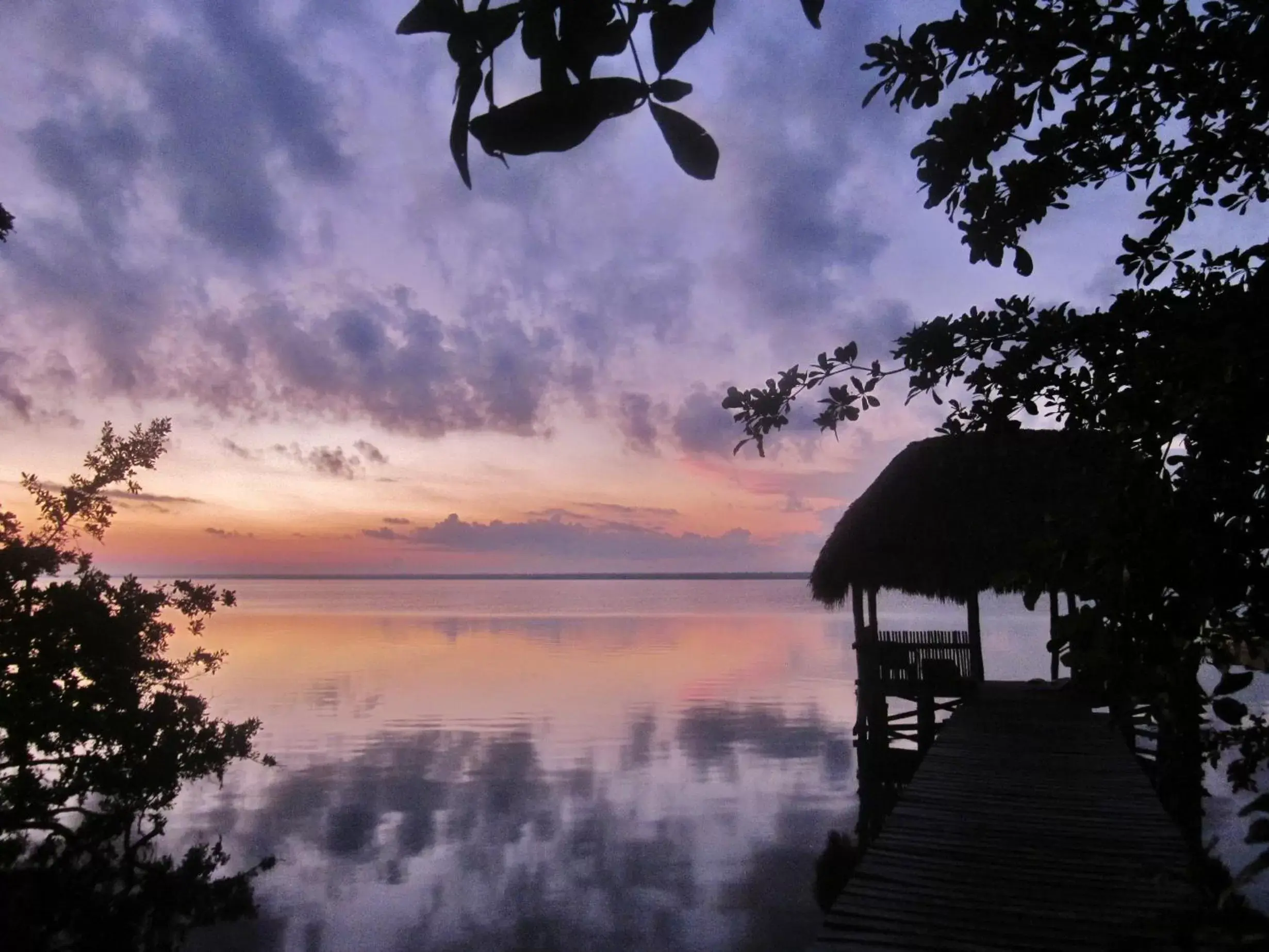 Natural landscape in Villas Ecotucan