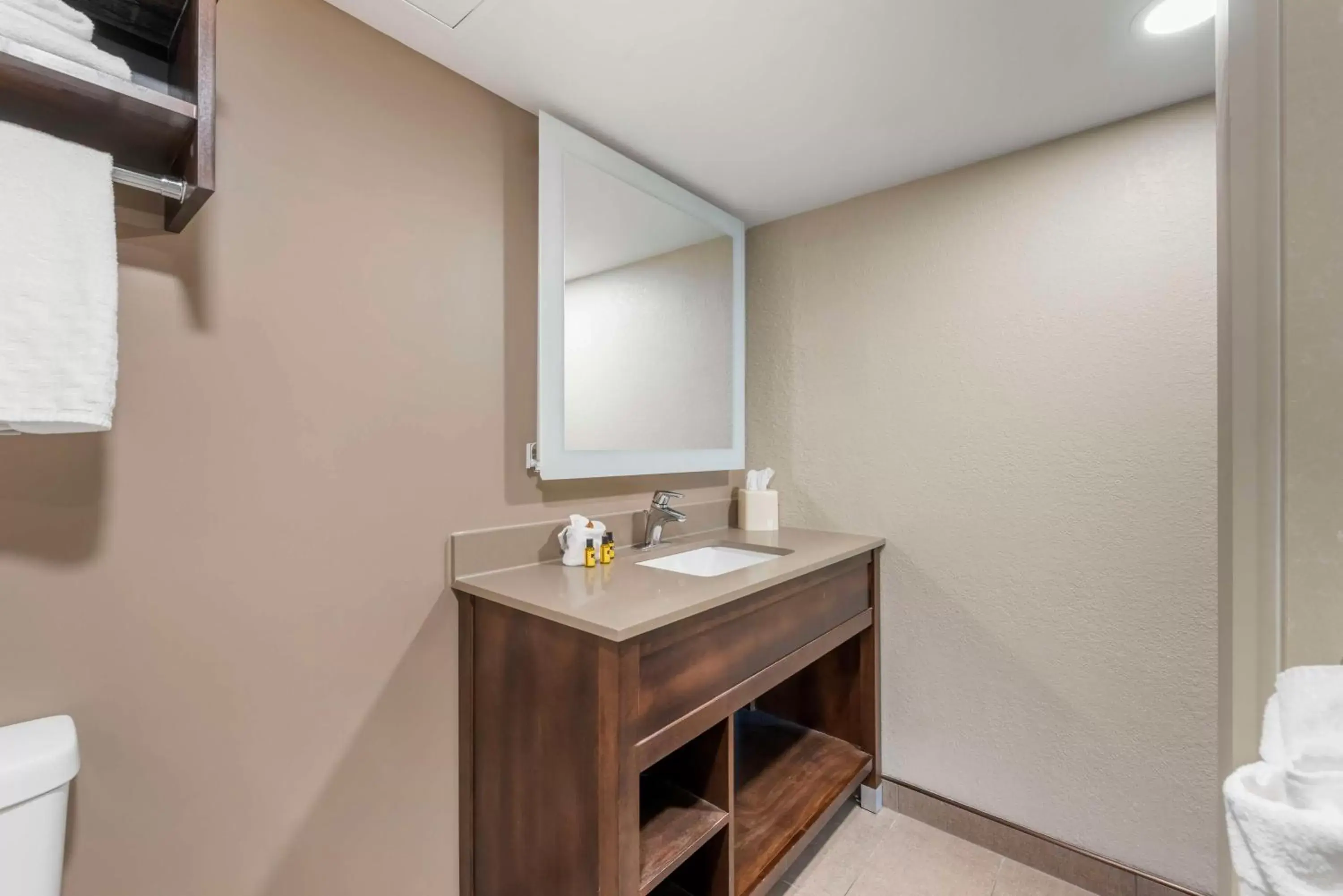 Bathroom, TV/Entertainment Center in Best Western Plus Ramkota Hotel