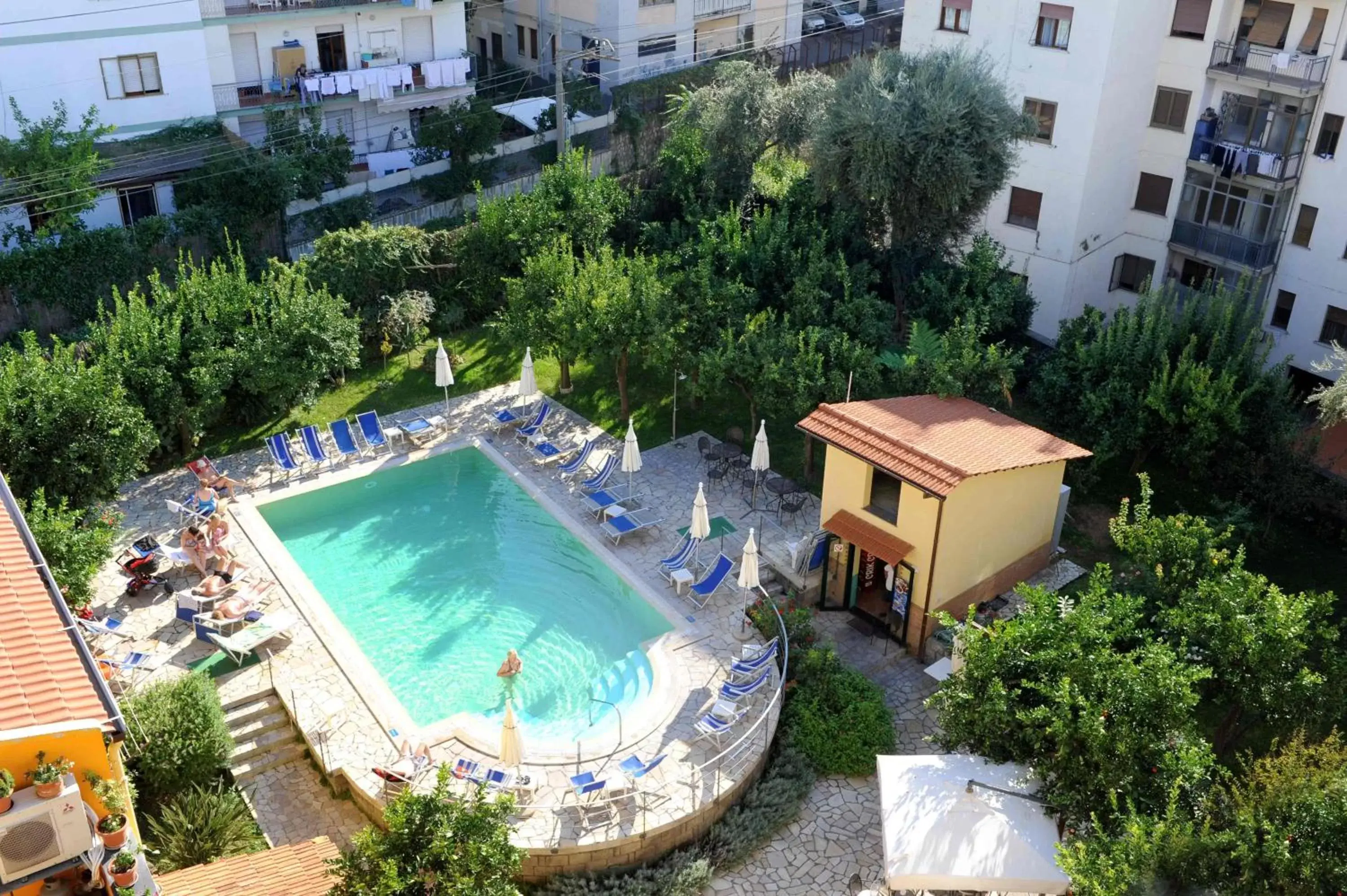 Swimming pool, Pool View in Hotel Tourist