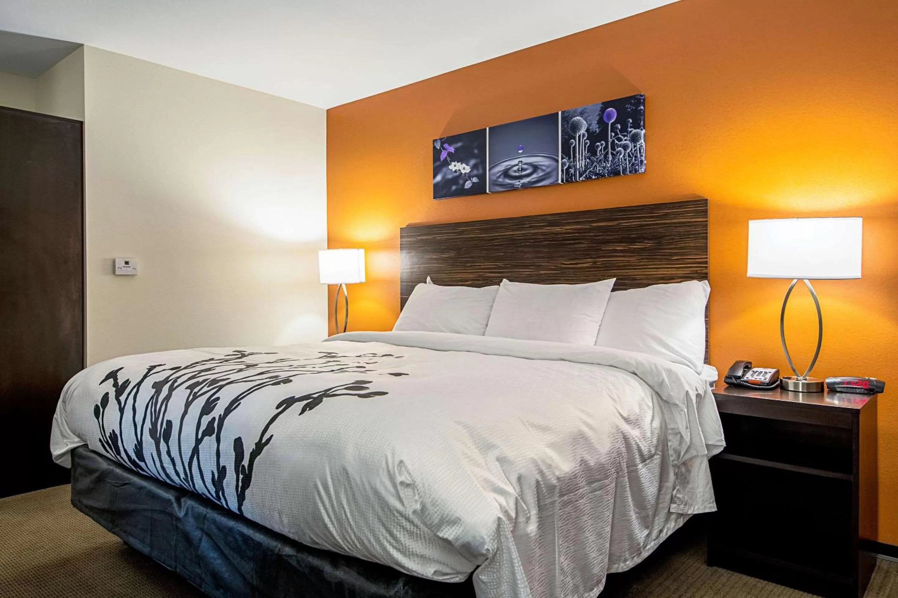 Photo of the whole room, Bed in Sleep Inn Geismar - Gonzales