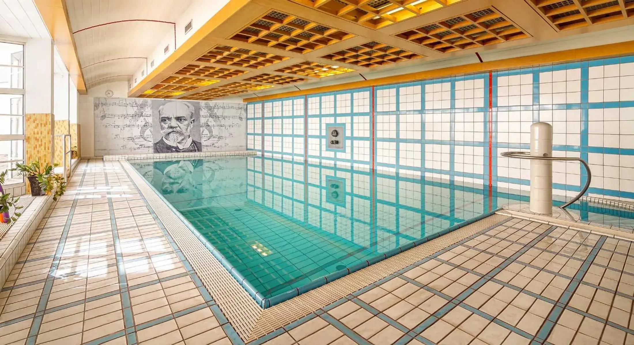 Spa and wellness centre/facilities, Swimming Pool in Dvorak Spa & Wellness