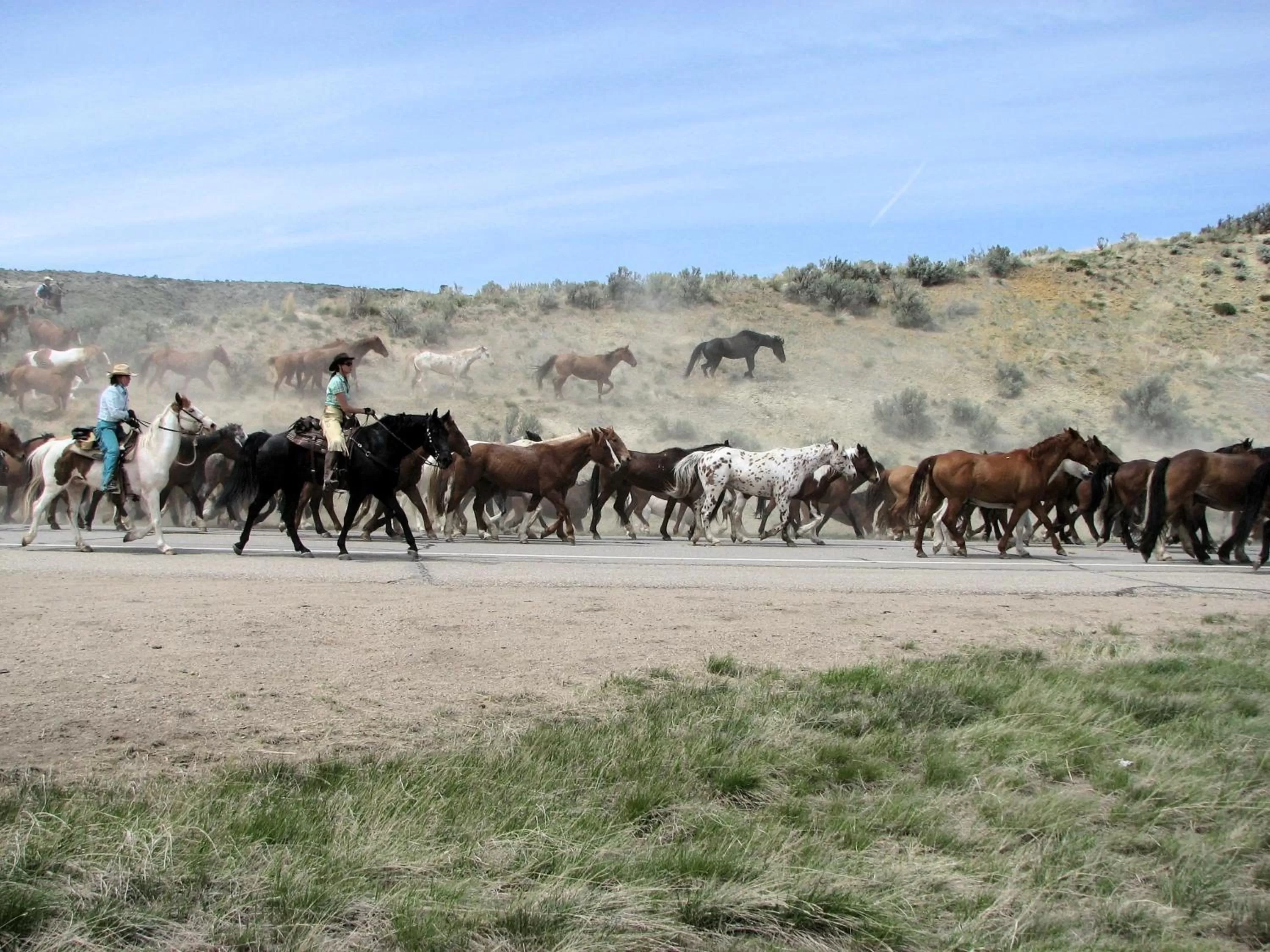 Nearby landmark in Candlewood Suites Craig-Northwest by IHG
