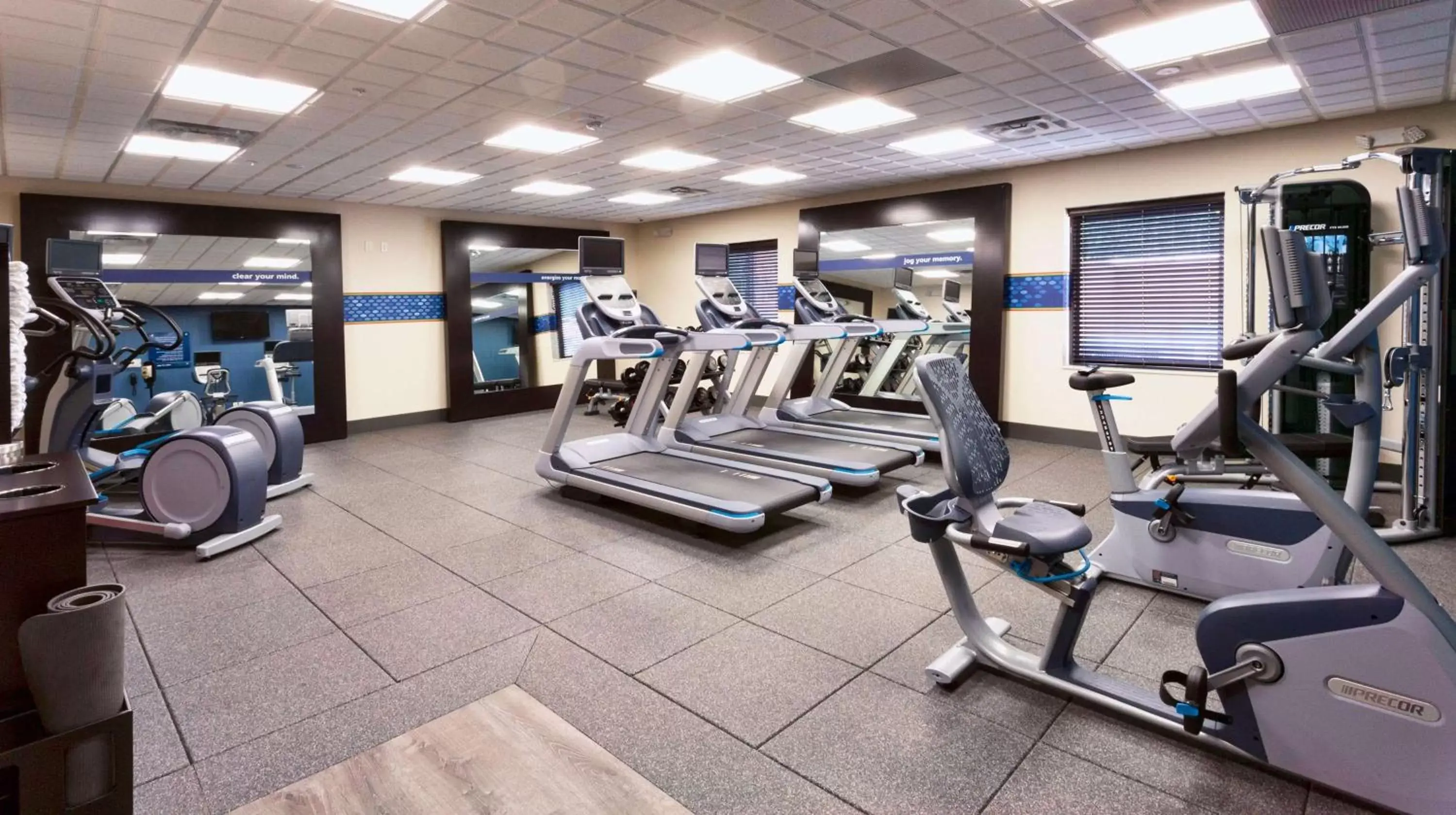 Fitness centre/facilities, Fitness Center/Facilities in Hampton Inn & Suites Duluth North Mn