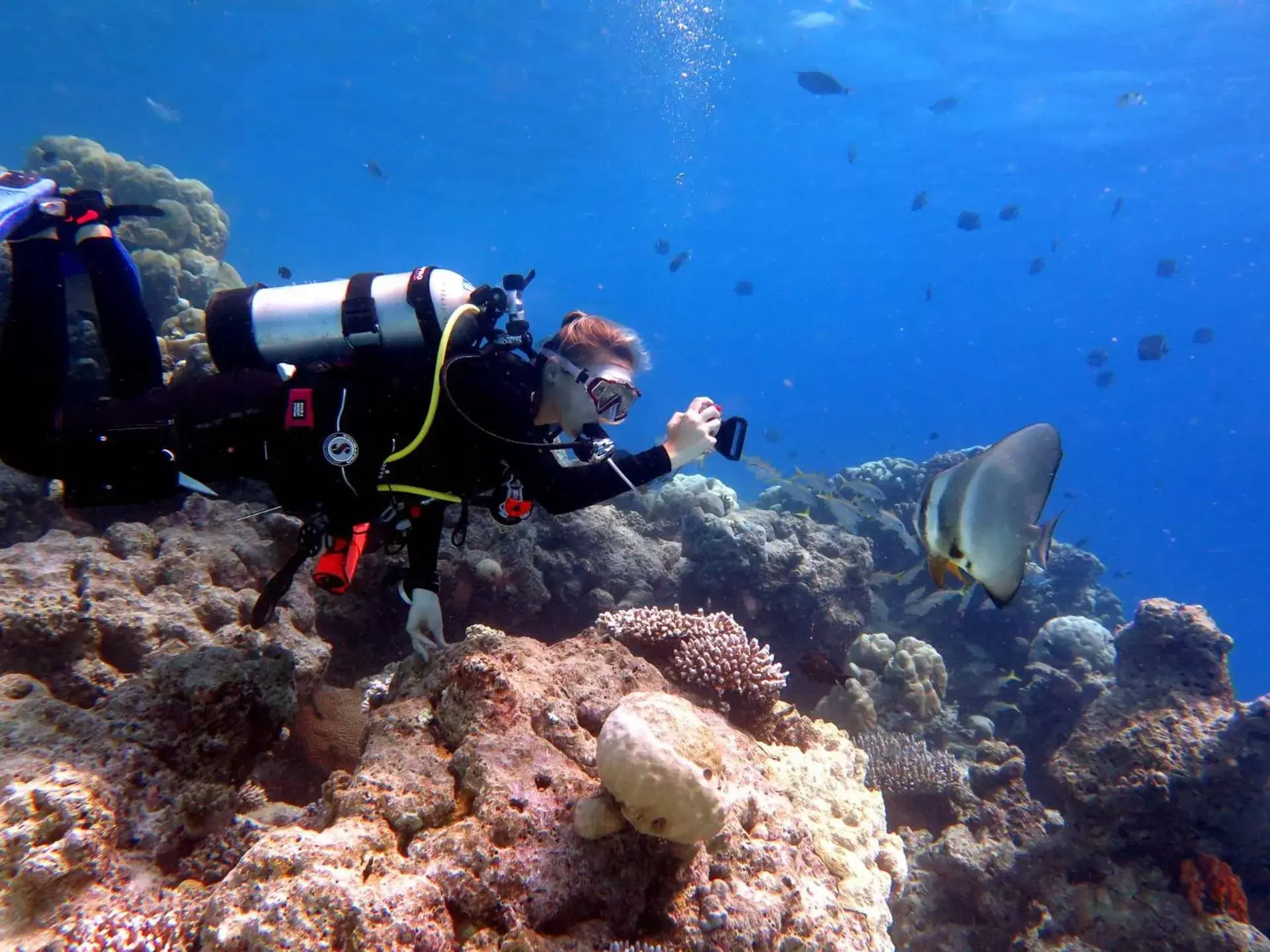 Diving, Snorkeling/Diving in Huvan Beach Hotel at Hulhumale