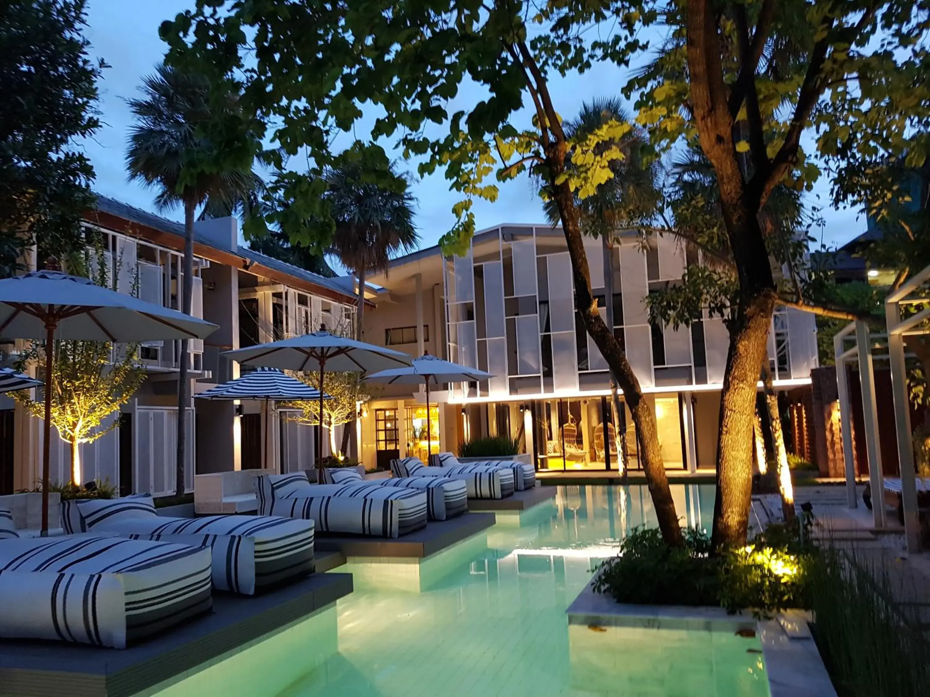 Swimming pool, Property Building in Treevana Club Chiangmai