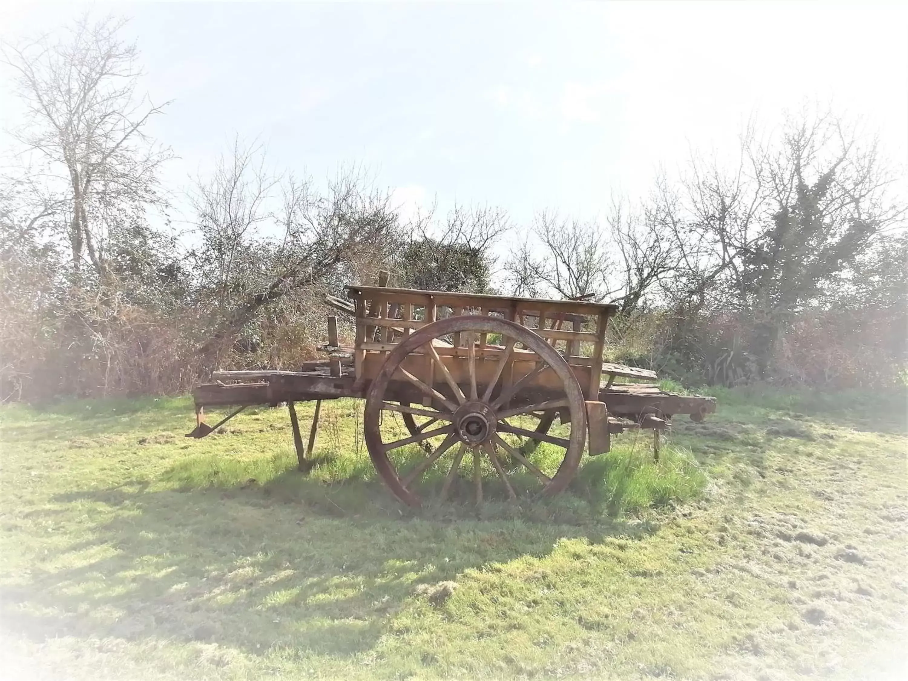 Natural landscape, Garden in Domaine de Gaïa, Piscine, Pétanque, Ping Pong, proche Saint-Emilion