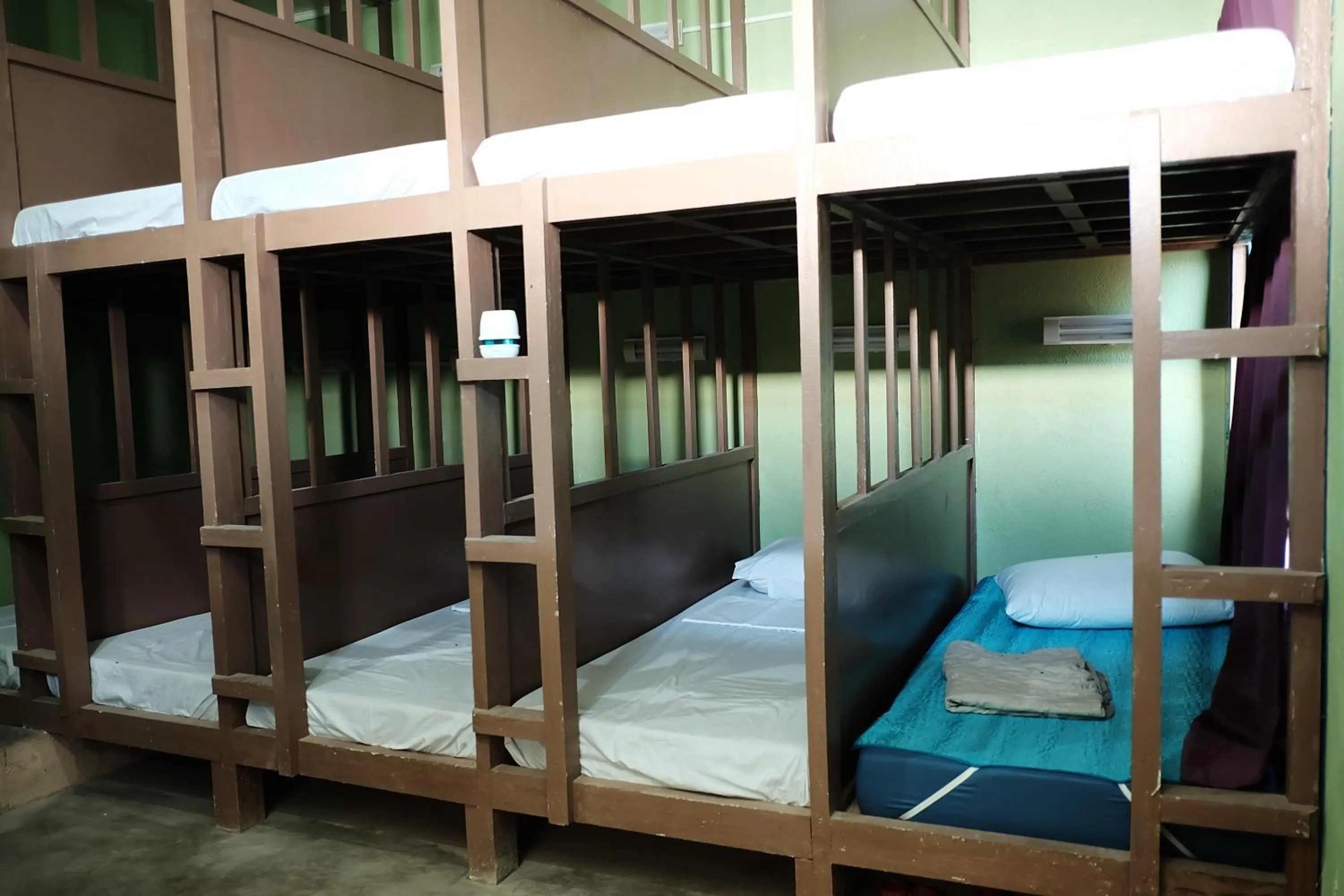bunk bed, Bed in Malapascua Budget Inn MBI DIVE CENTER