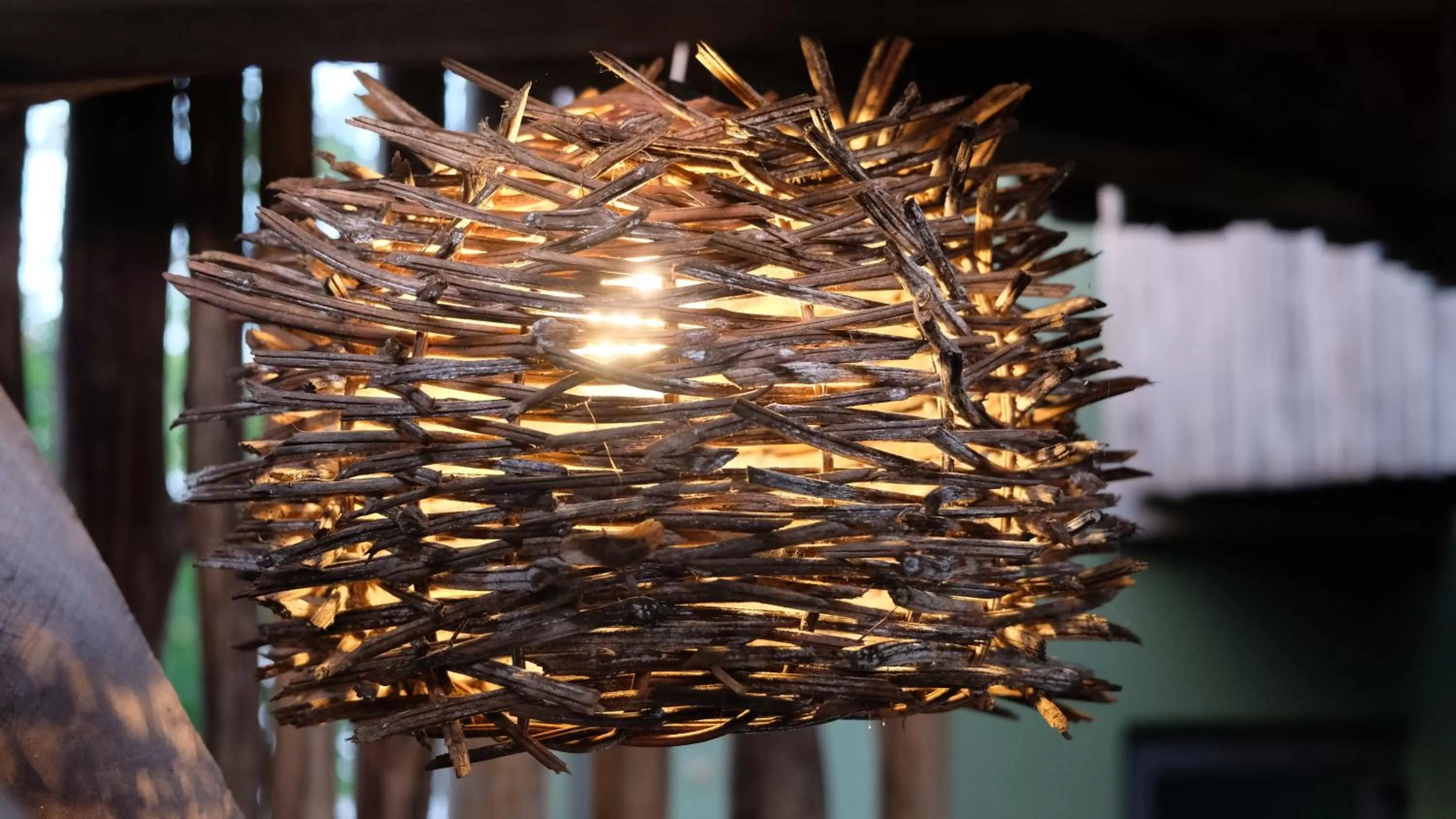 Property building in Loba Tulum Male Only