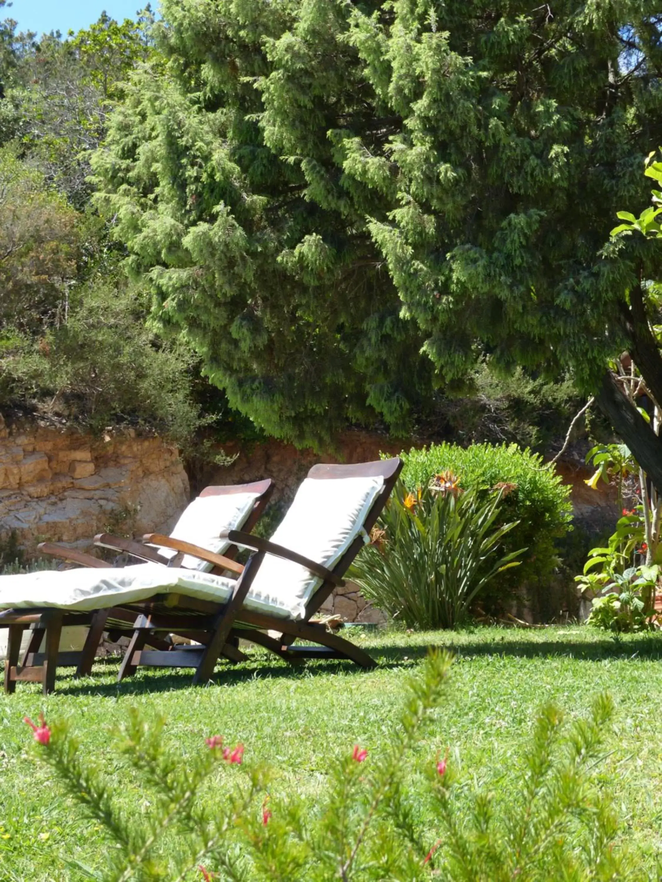 Garden in B&B La Murichessa