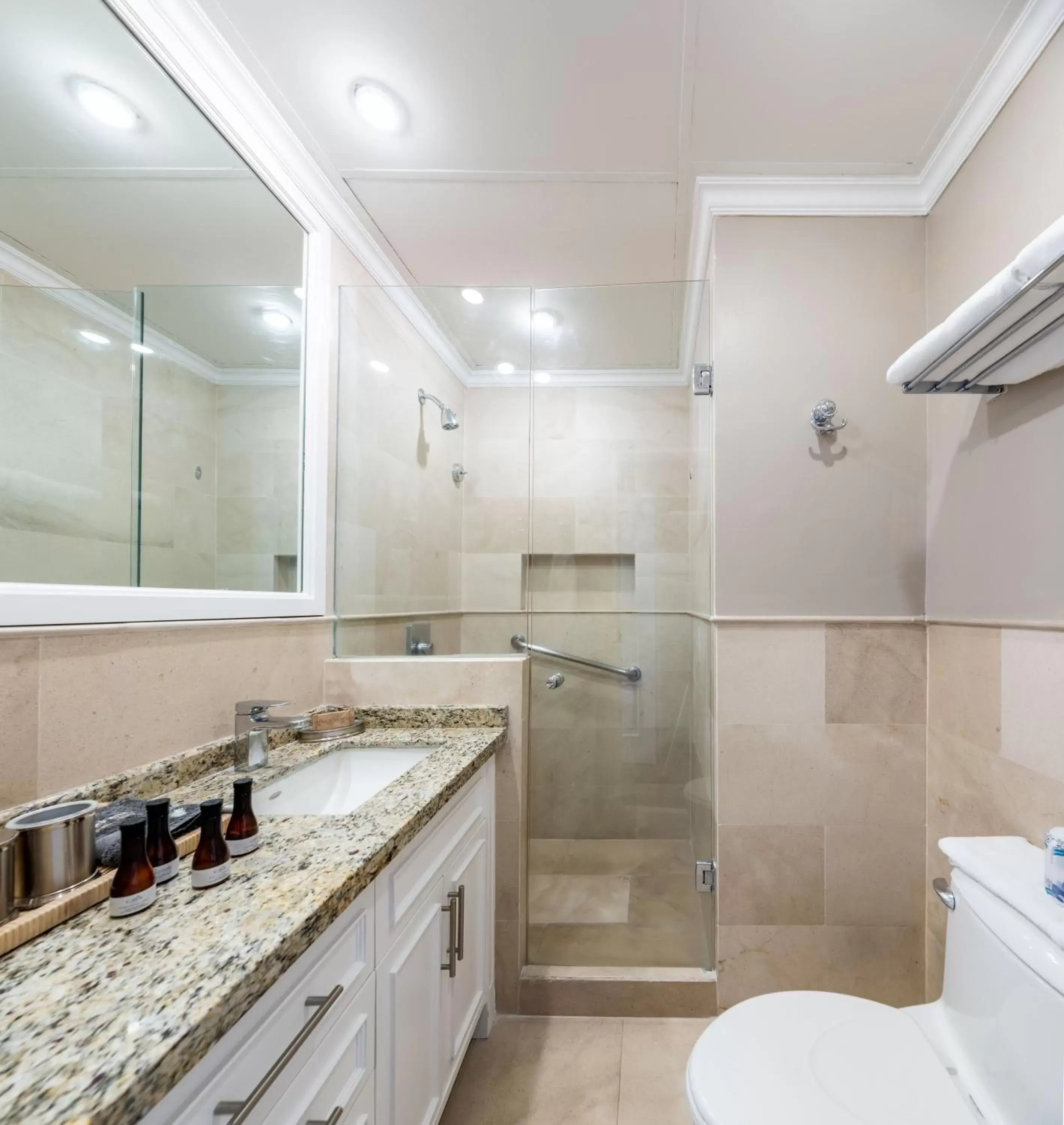 Toilet, Bathroom in Grand Polanco Residencial