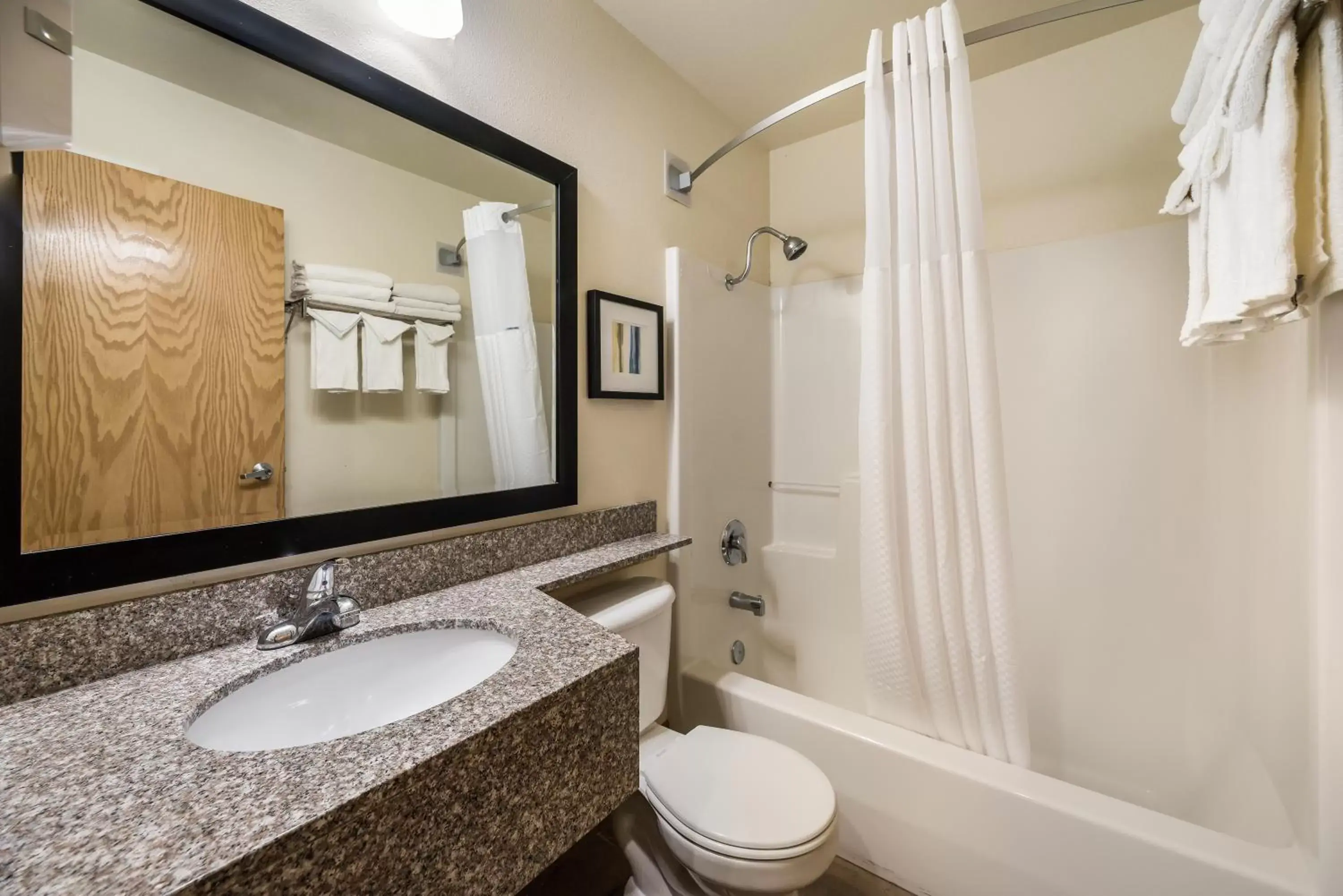 Bathroom in Quality Inn & Suites near NAS Fallon