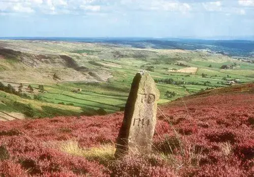 Area and facilities, Natural Landscape in Duke Of Wellington Inn