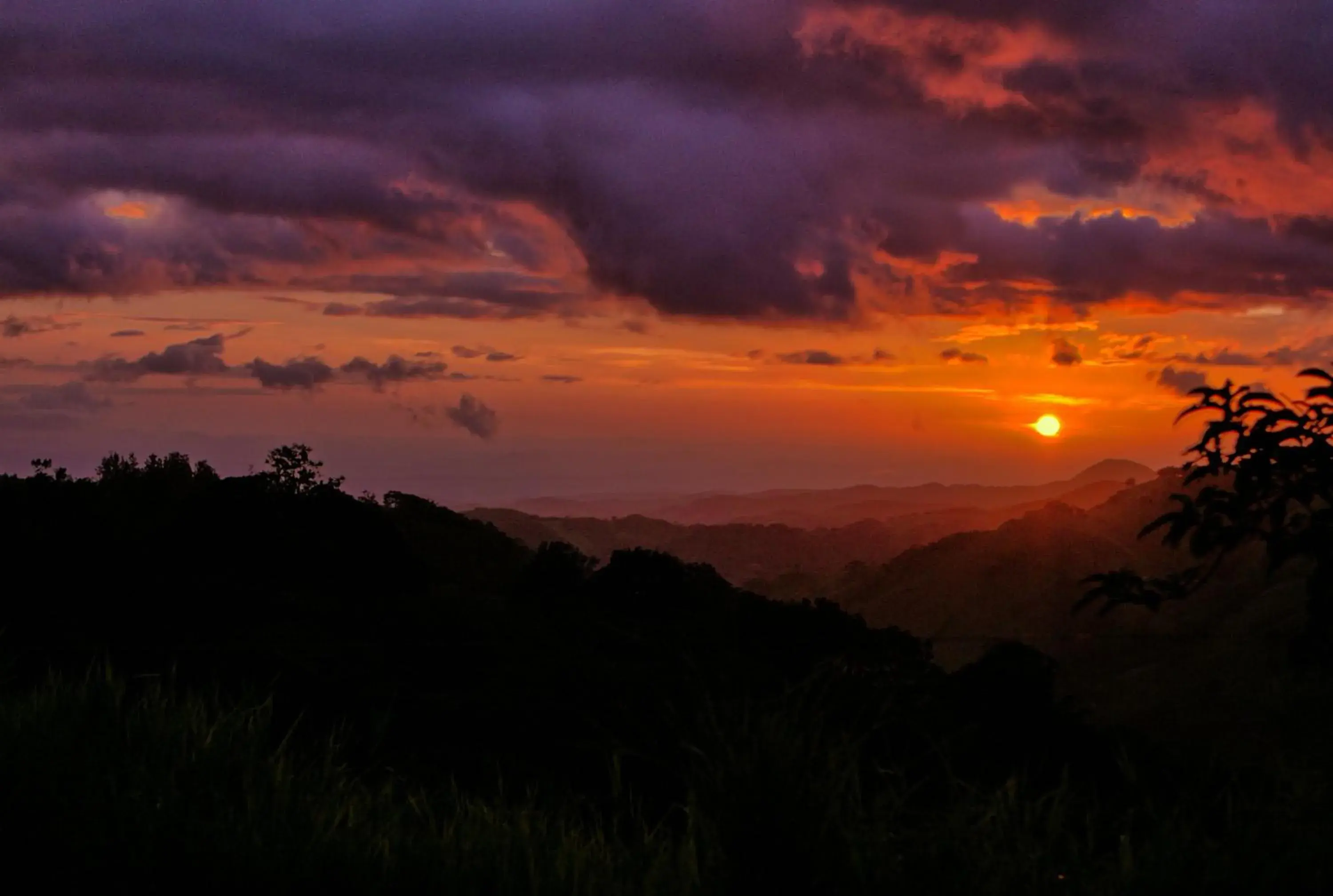 Landmark view in Hotel Ficus - Monteverde