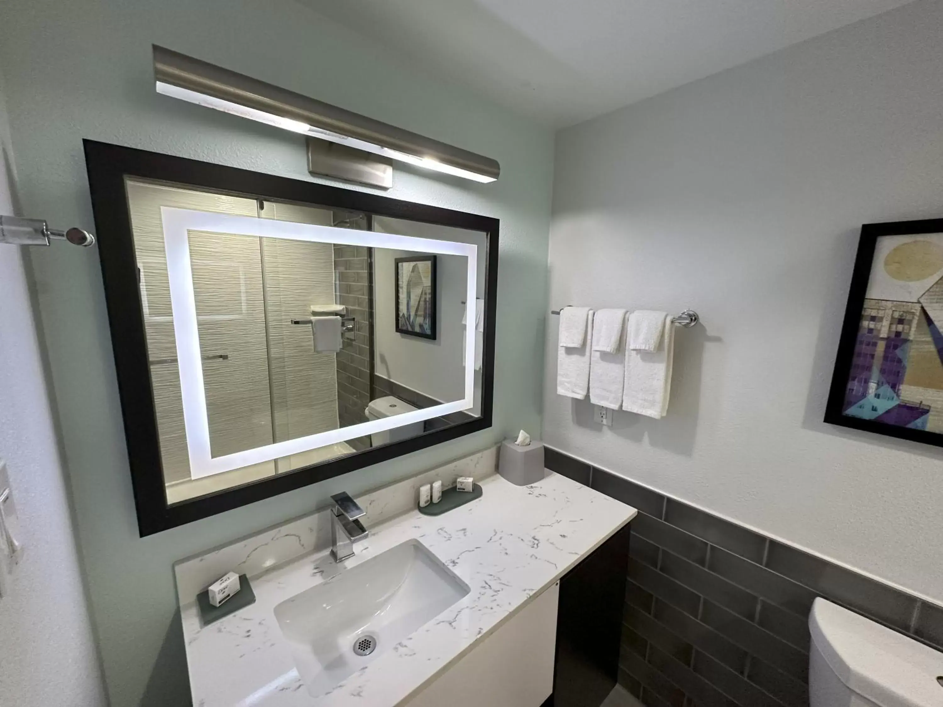 Bathroom in Holiday Inn Express - Dallas Downtown, an IHG Hotel