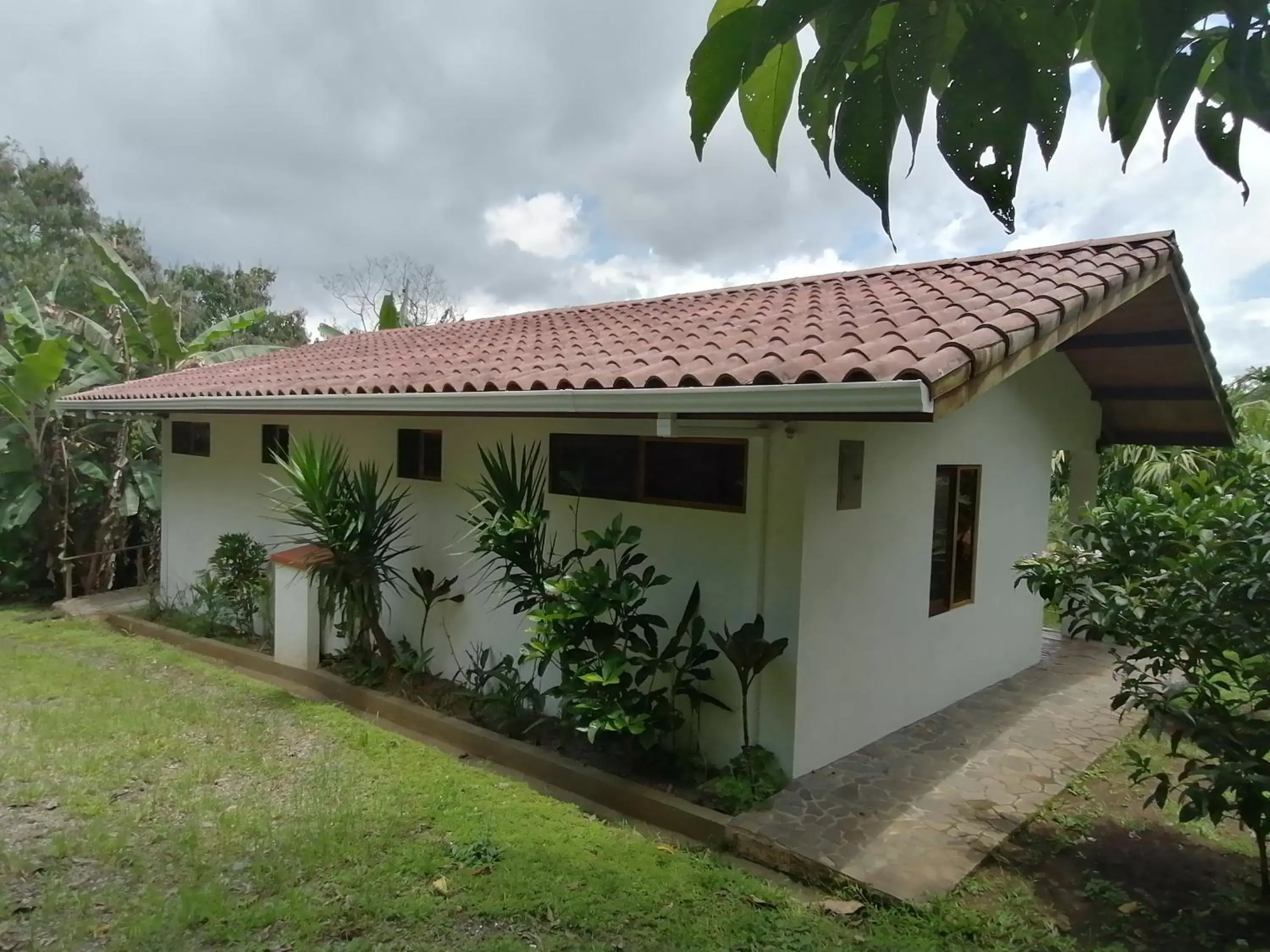 Property Building in La Ceiba Tree Lodge