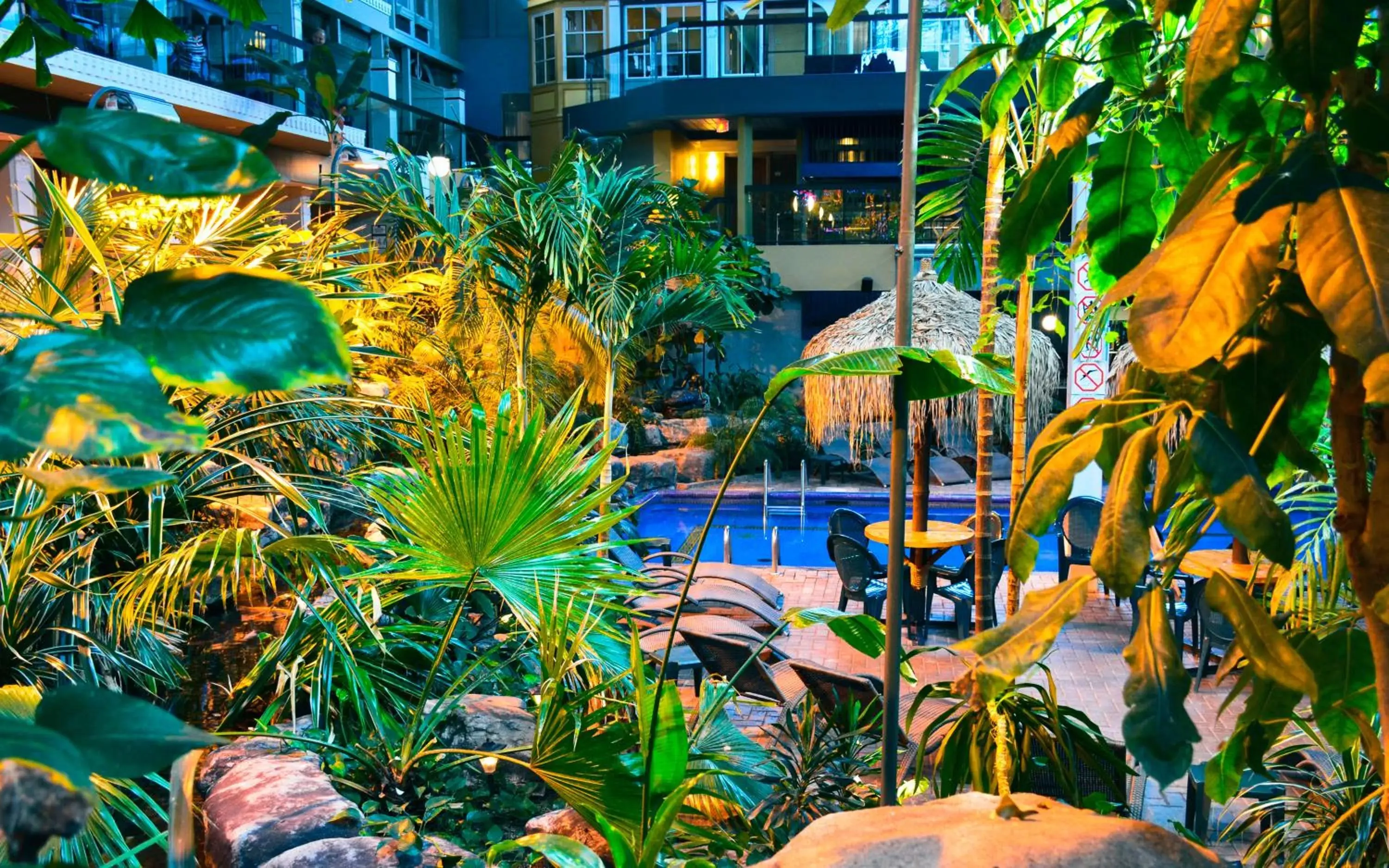 Garden, Swimming Pool in Hôtel Québec Inn