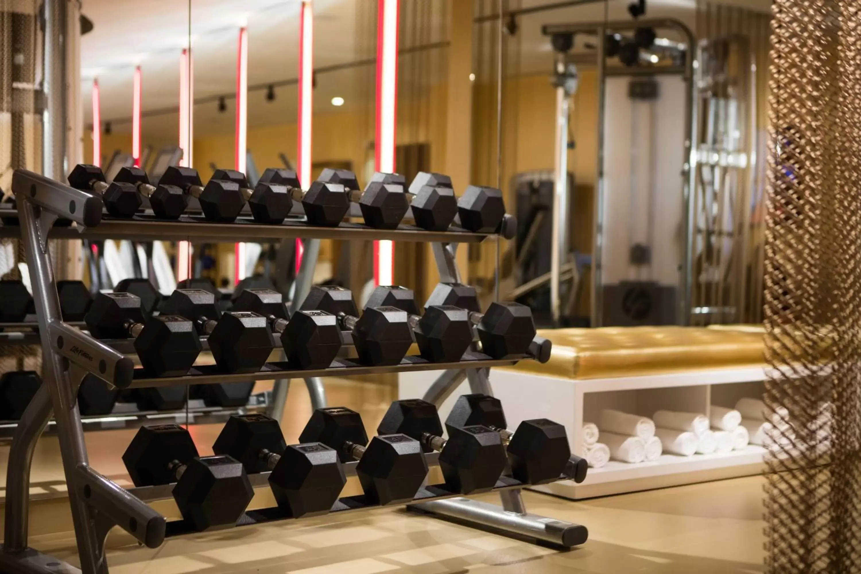 Fitness centre/facilities, Fitness Center/Facilities in Renaissance New York Times Square Hotel