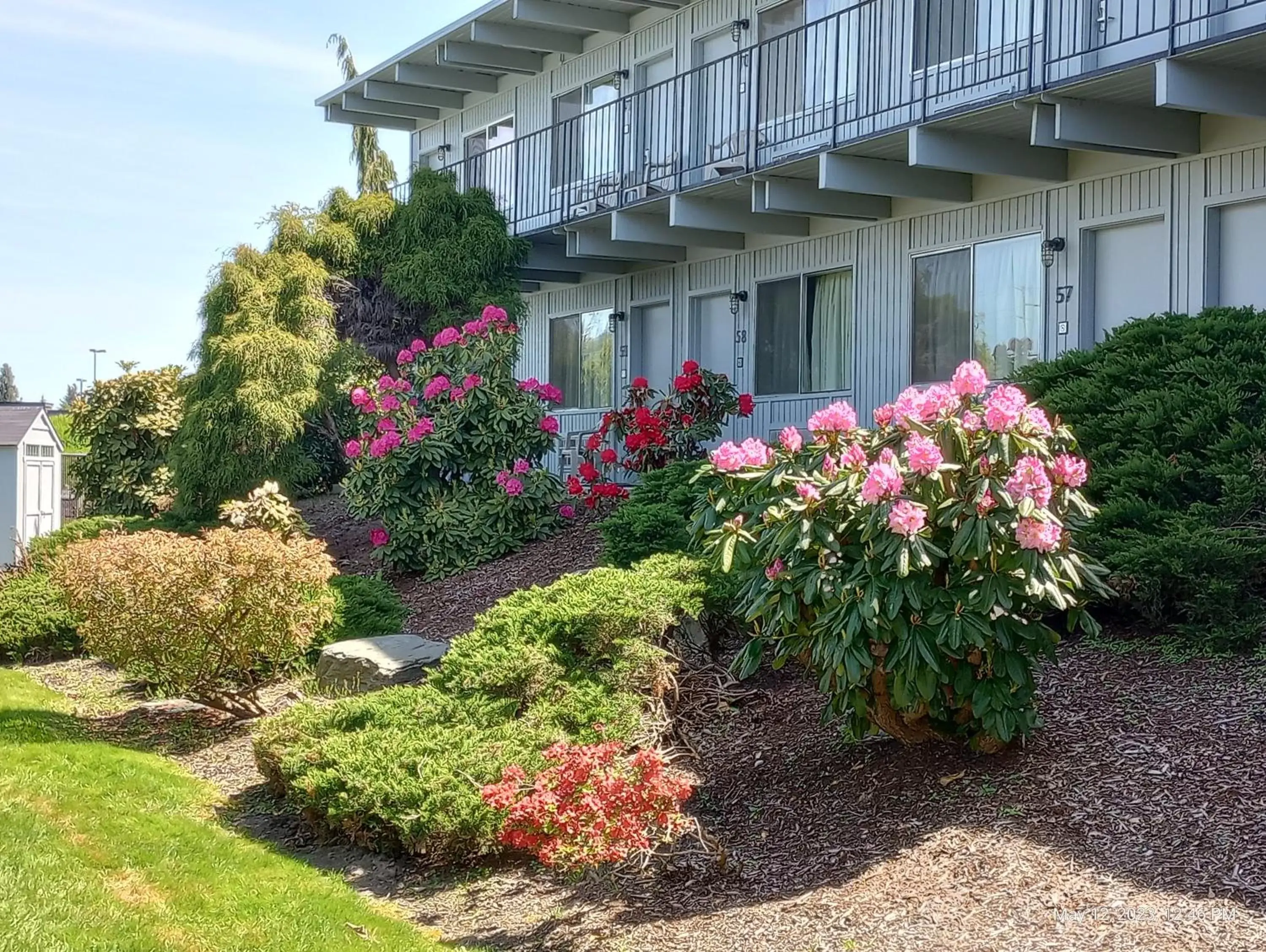 Property Building in Cocusa Motel