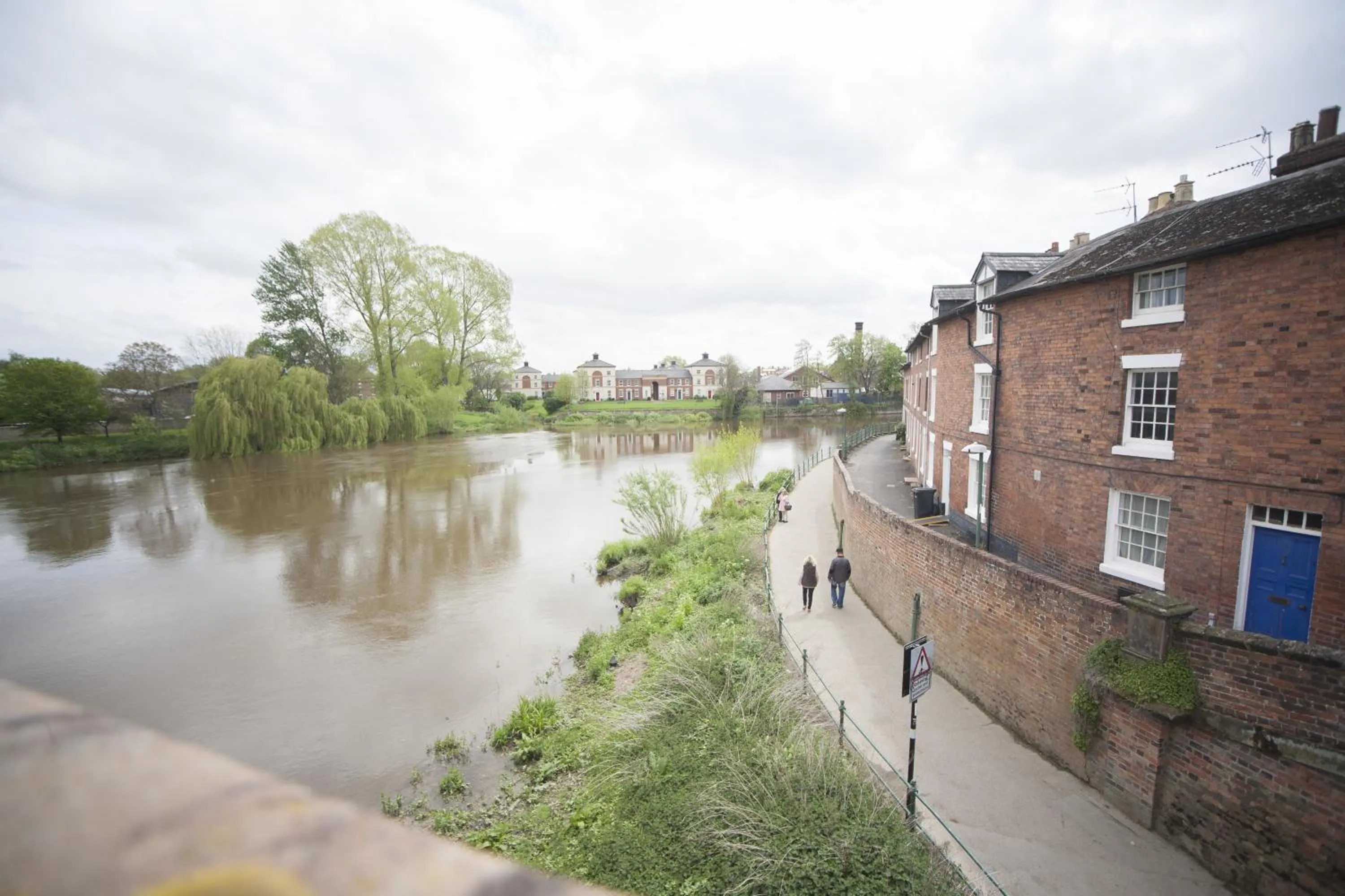 Natural landscape in The Lion Hotel Shrewsbury