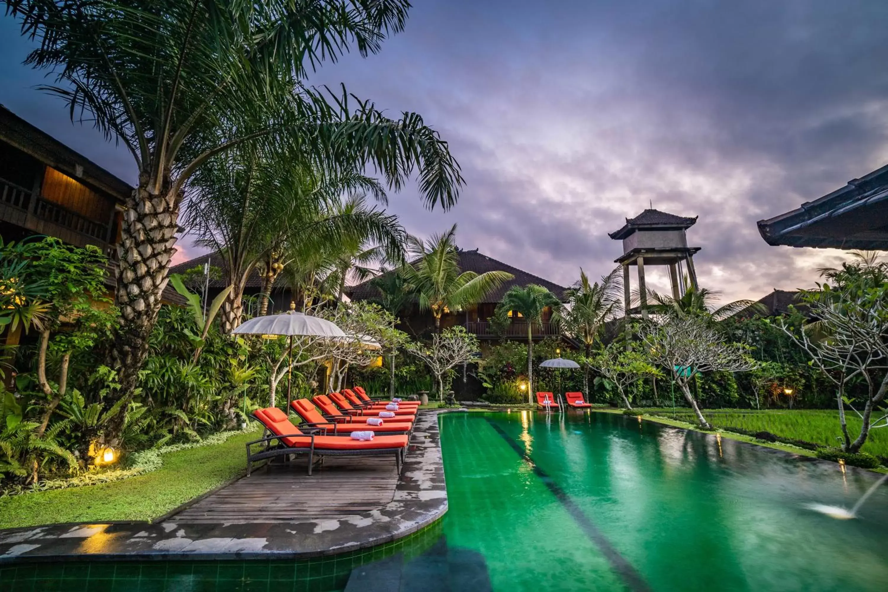 Pool view, Swimming Pool in Bliss Ubud Spa Resort