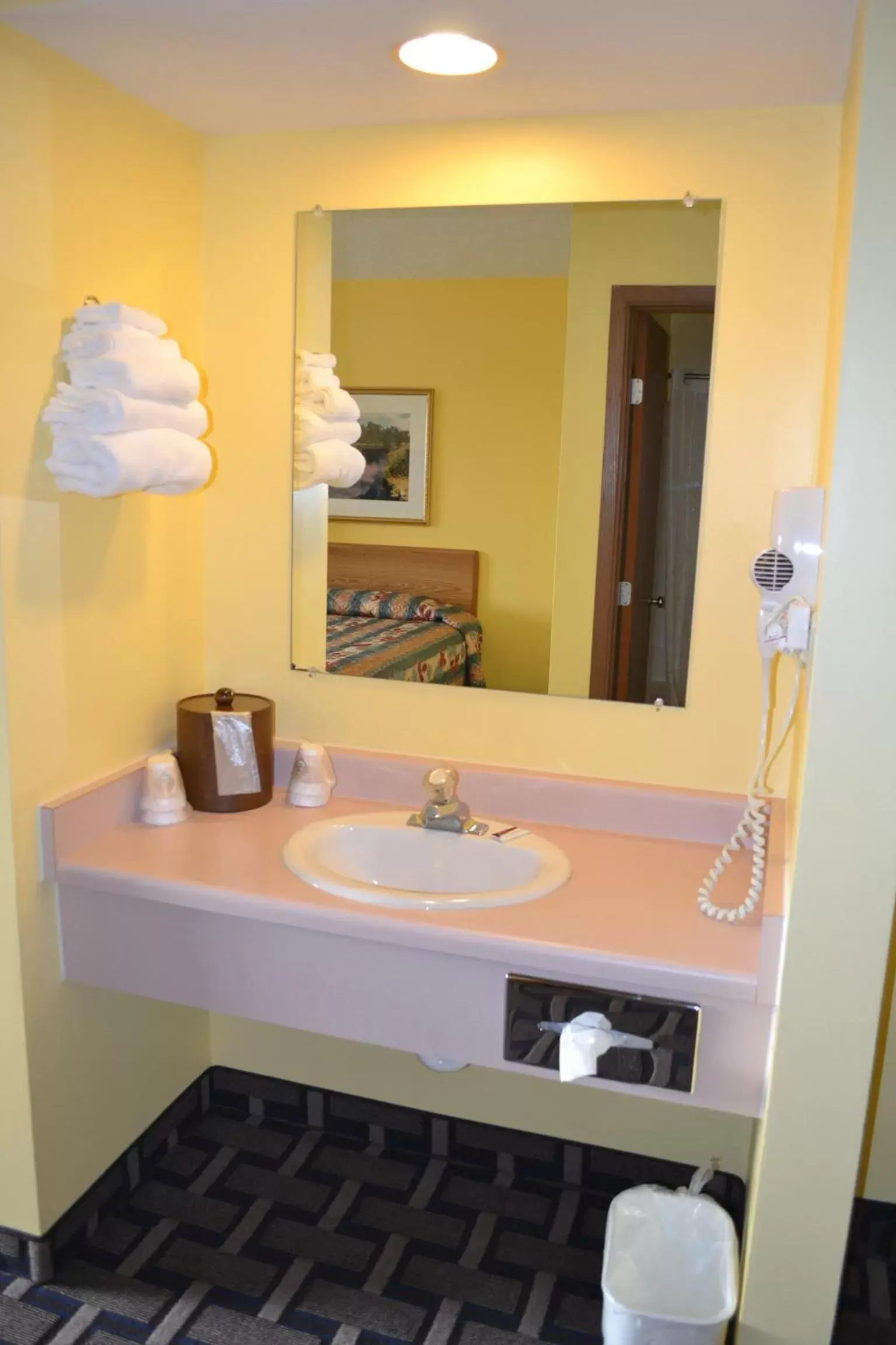 Bathroom in Sky Lodge Inn & Suites - Delavan