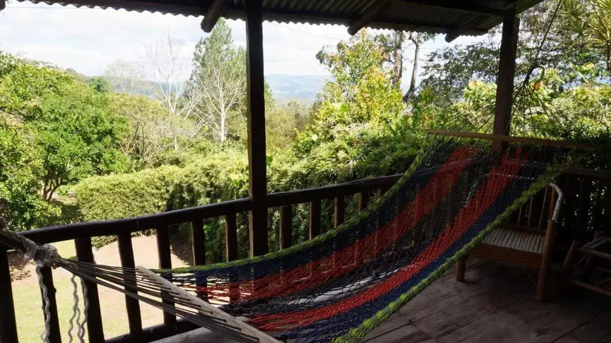 Balcony/Terrace in Hospedaje La Naciente