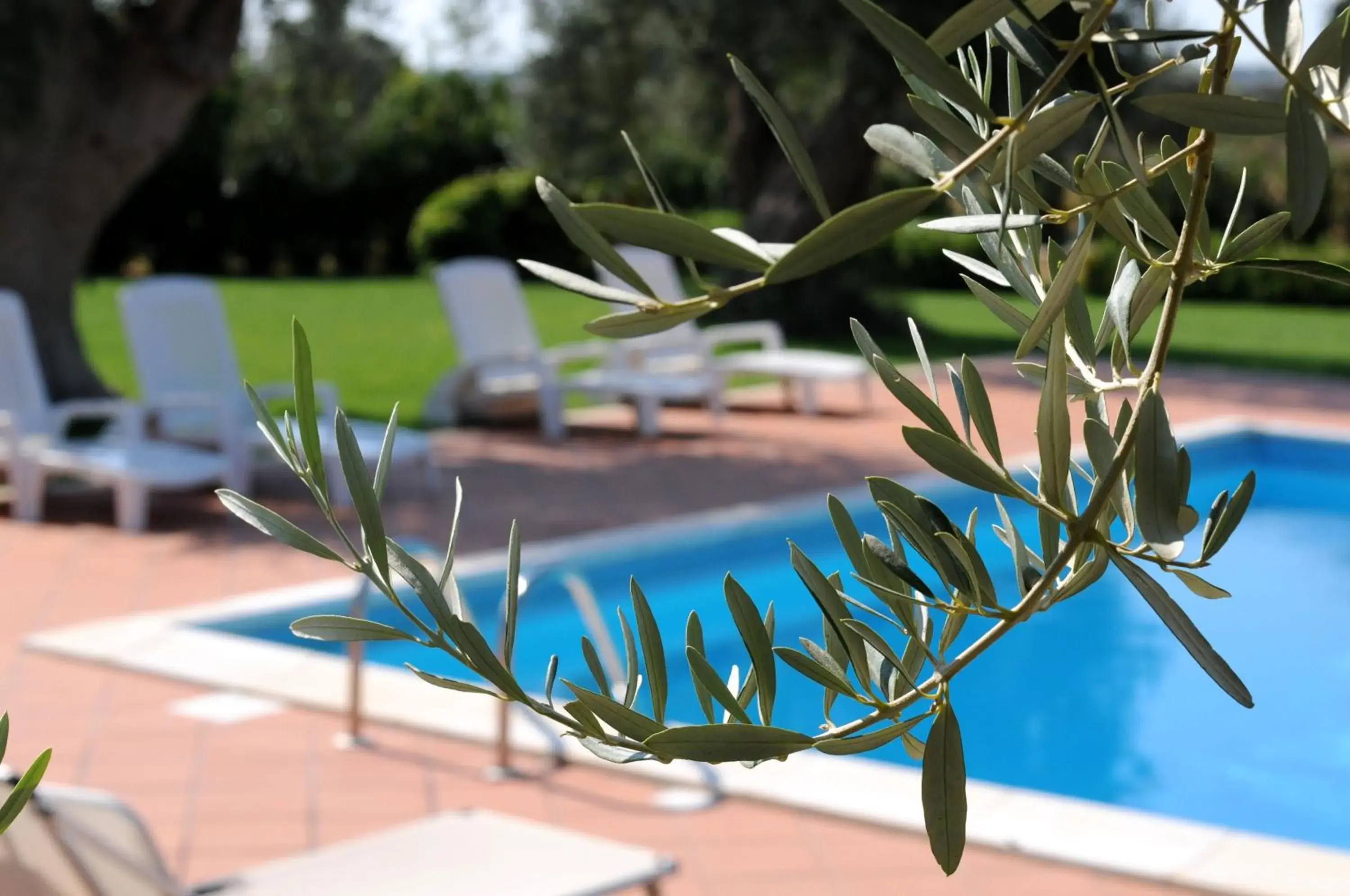 Garden, Swimming Pool in Torre Don Virgilio Country Hotel