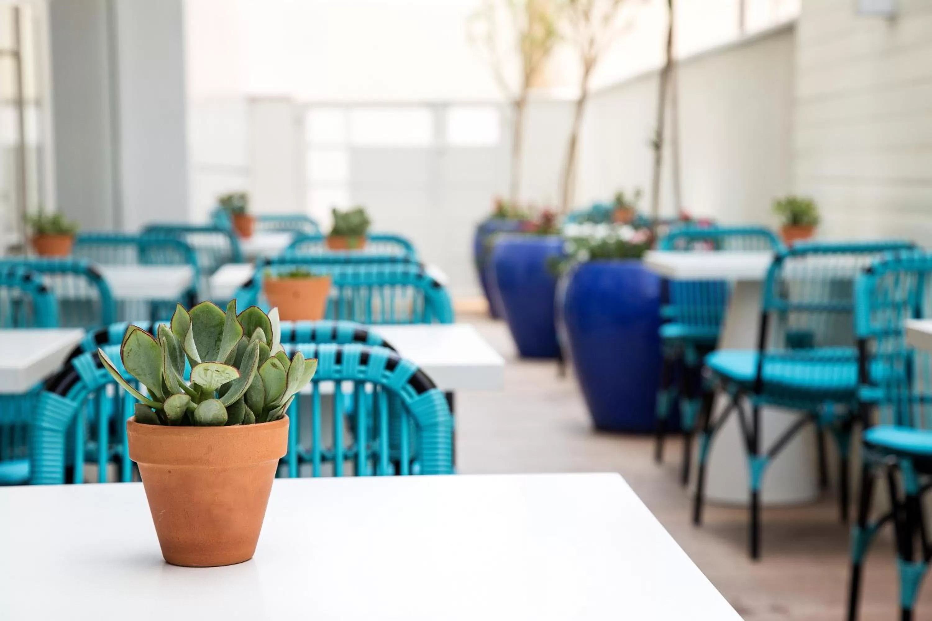 Patio in Yam Hotel - an Atlas Boutique Hotel