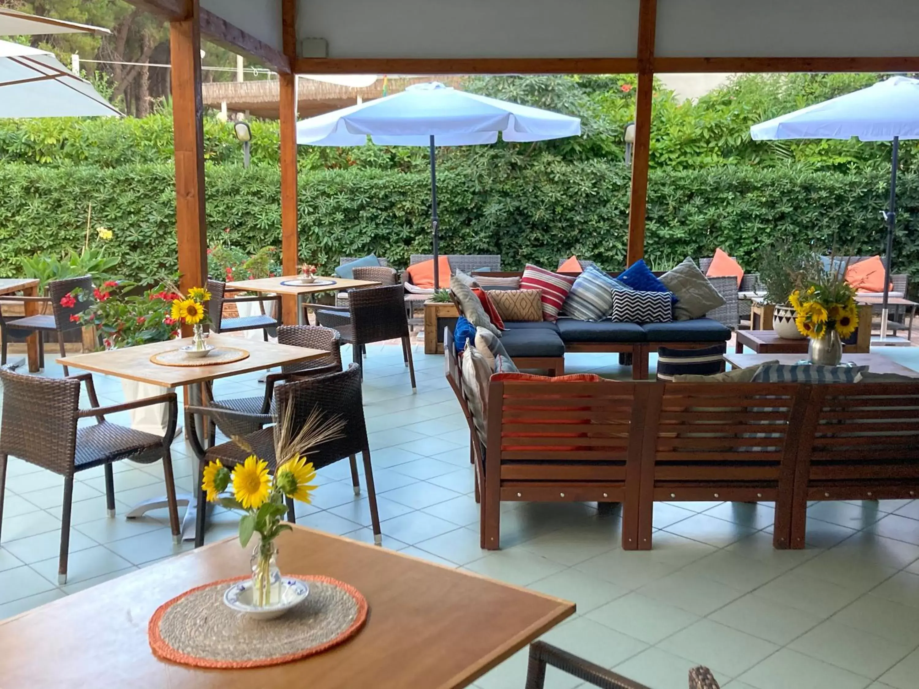 Lounge or bar, Restaurant/Places to Eat in Hotel Cerrano