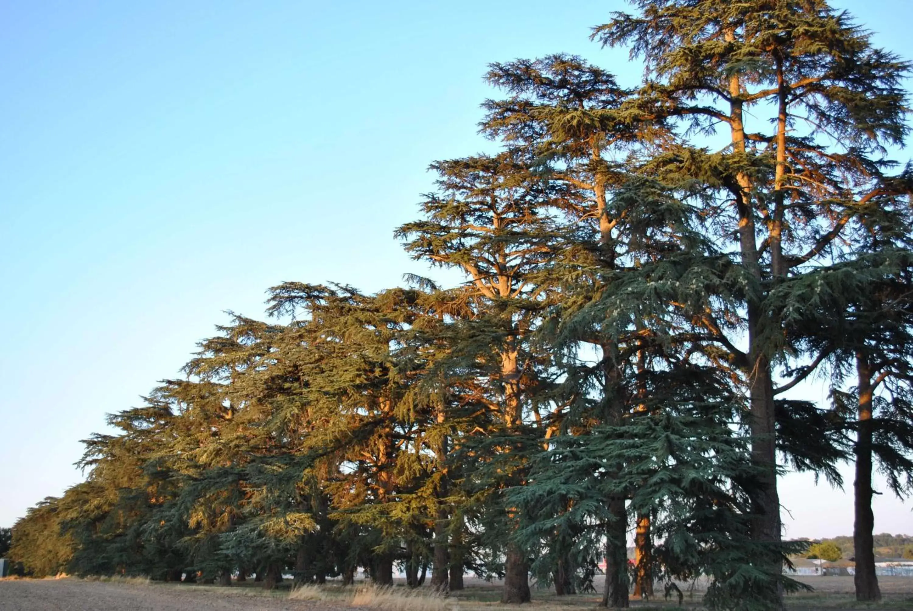 Facade/entrance, Natural Landscape in Logis Château Saint Marcel