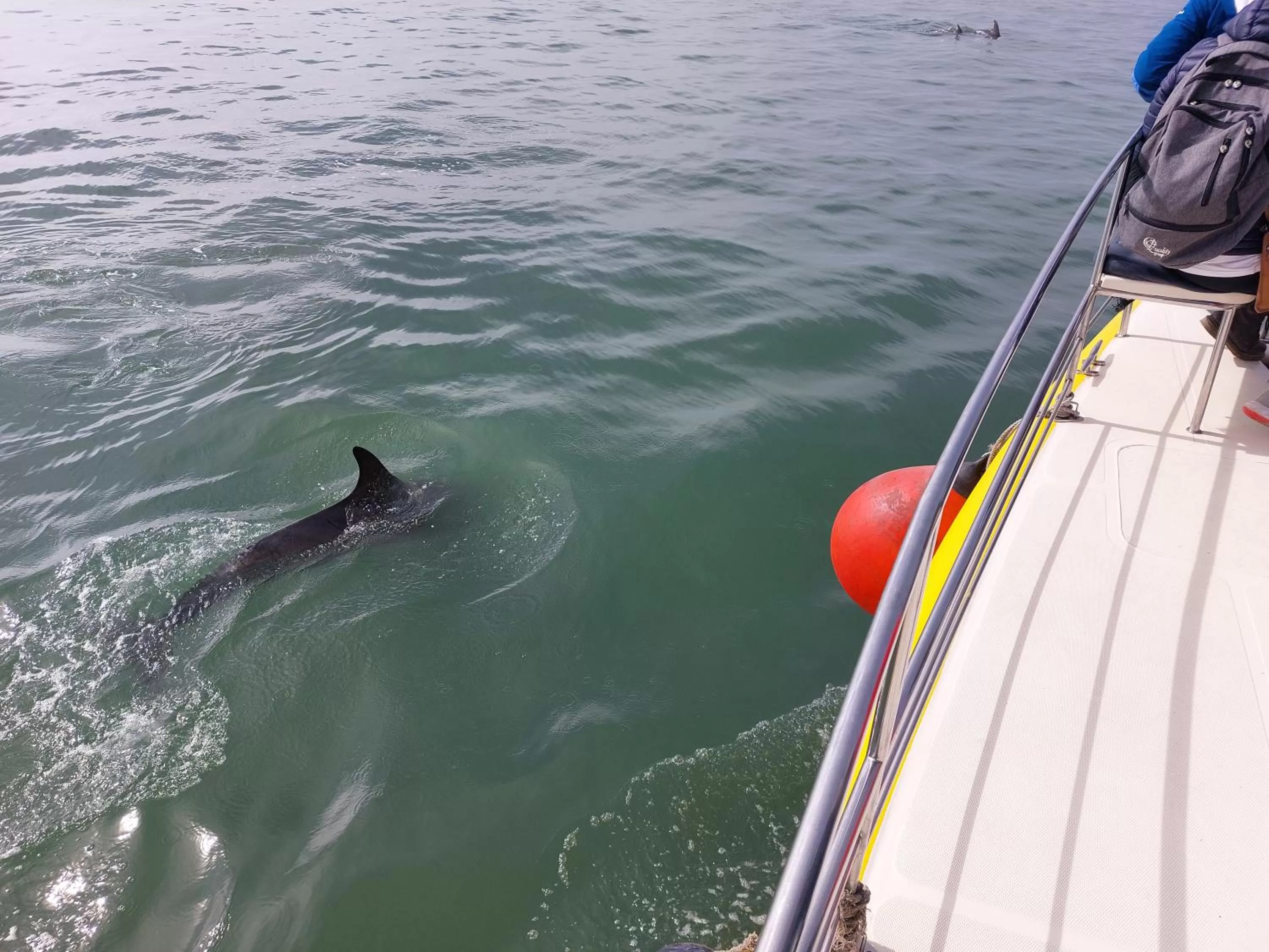 Sea view in Sunflower Self-Catering