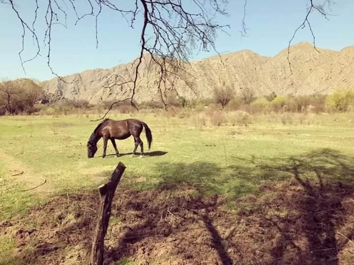 Hotel Hacienda Casa Blanca