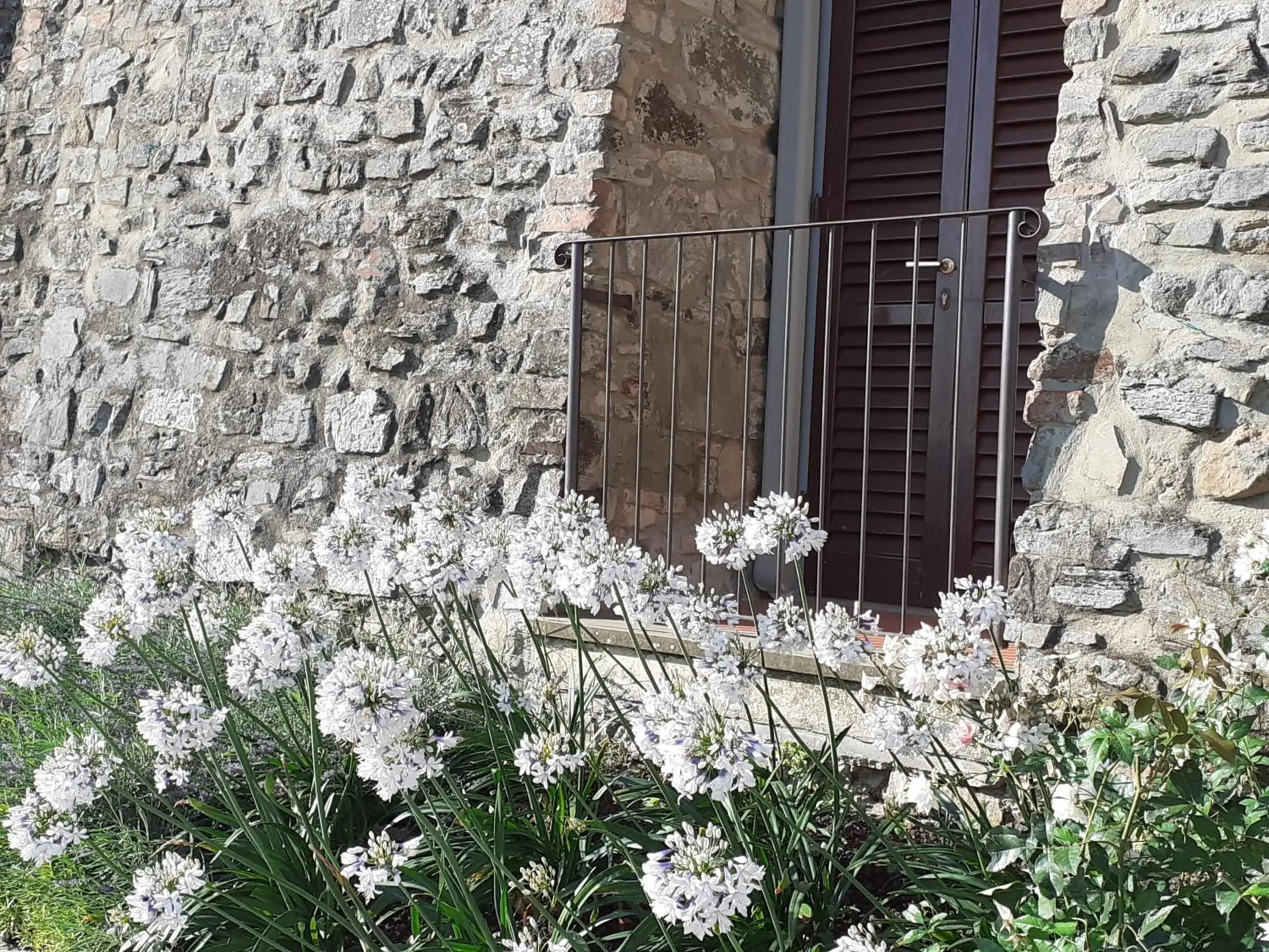 Garden in Hotel Le Macine