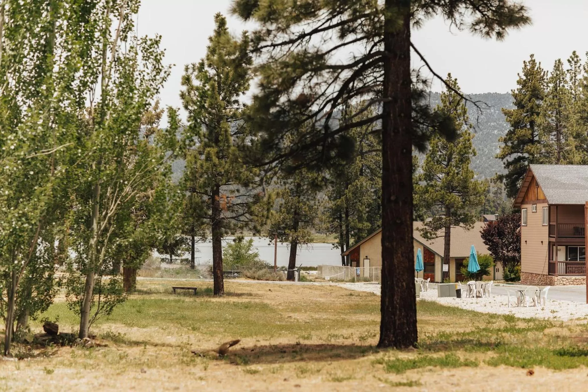 Vintage Lakeside Inn