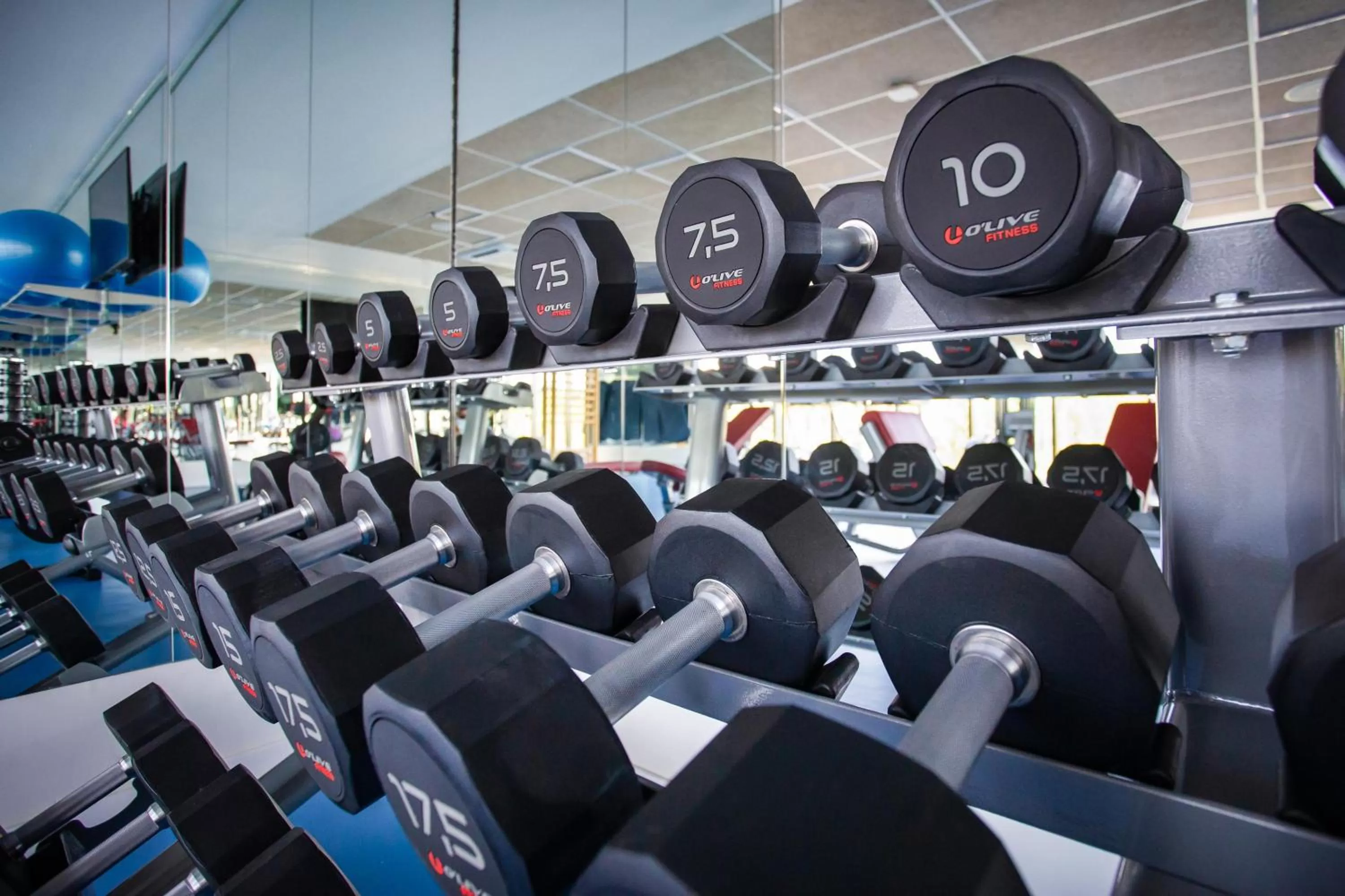 Activities in Serenade Punta Cana Beach & Spa Resort