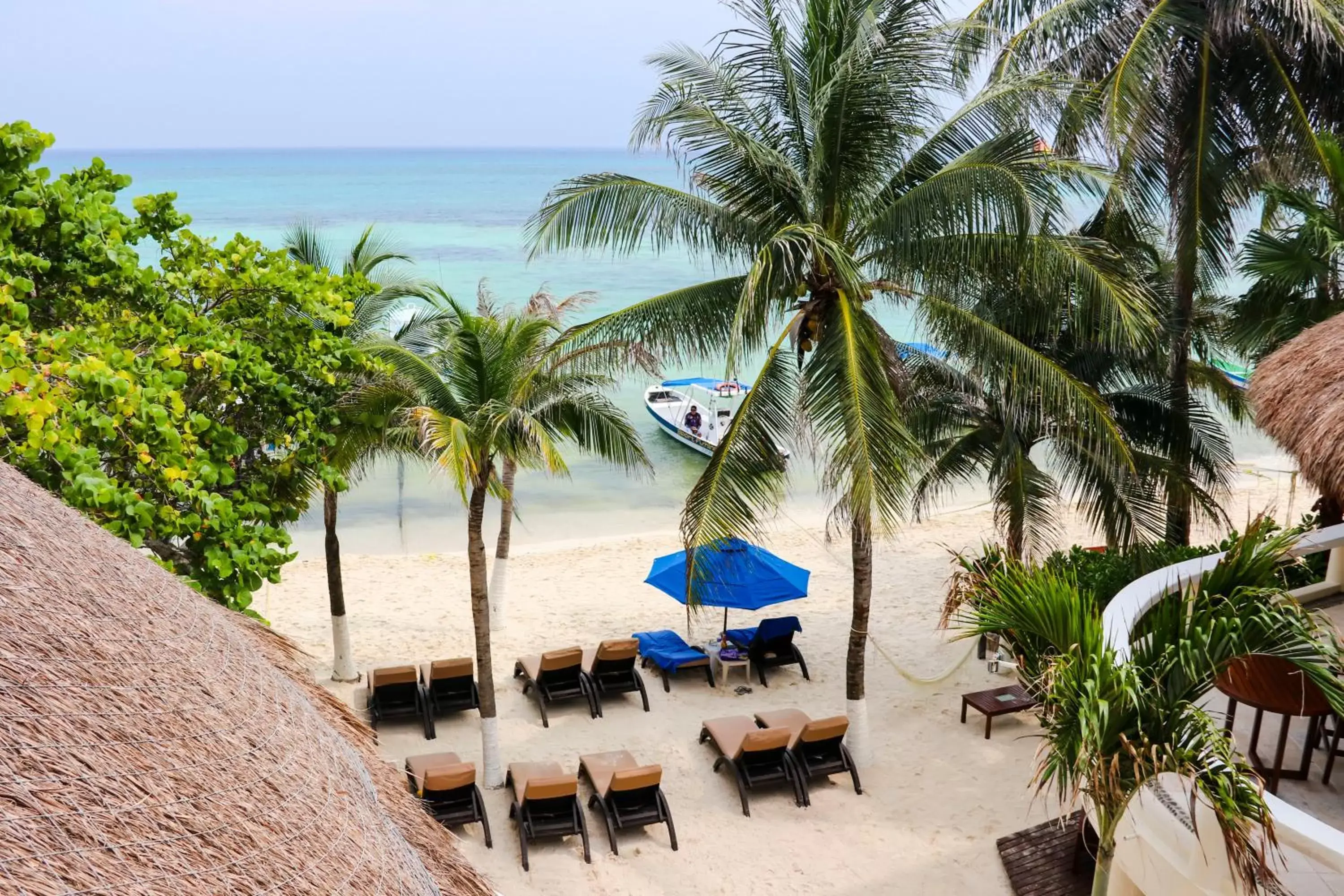 Beach in Playa Palms Beach Hotel