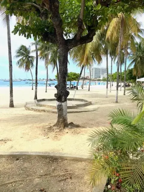 Beach in Ocho Rios Vacation Resort Property Rentals