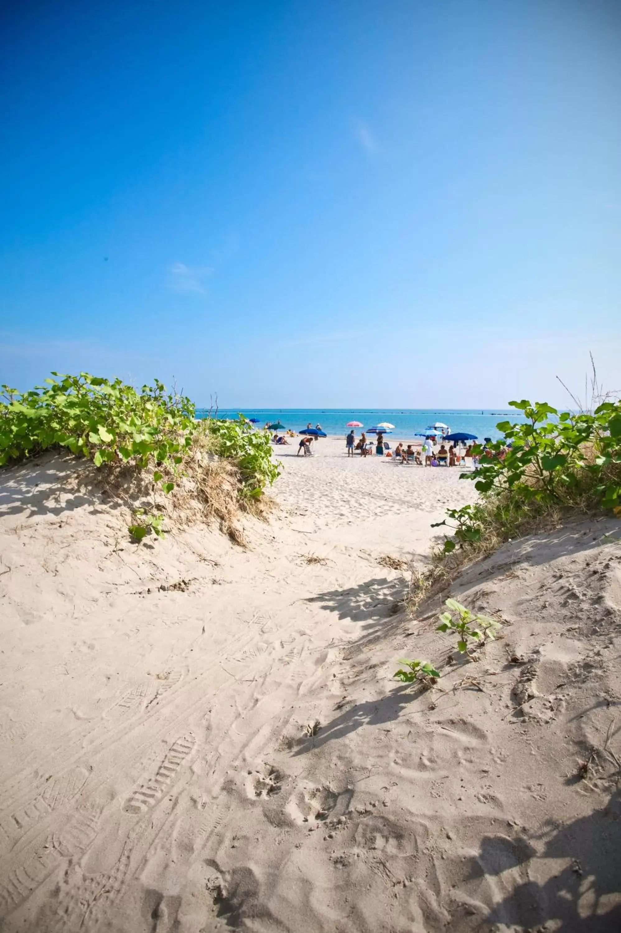 Beach in Hotel Residence Le Dune