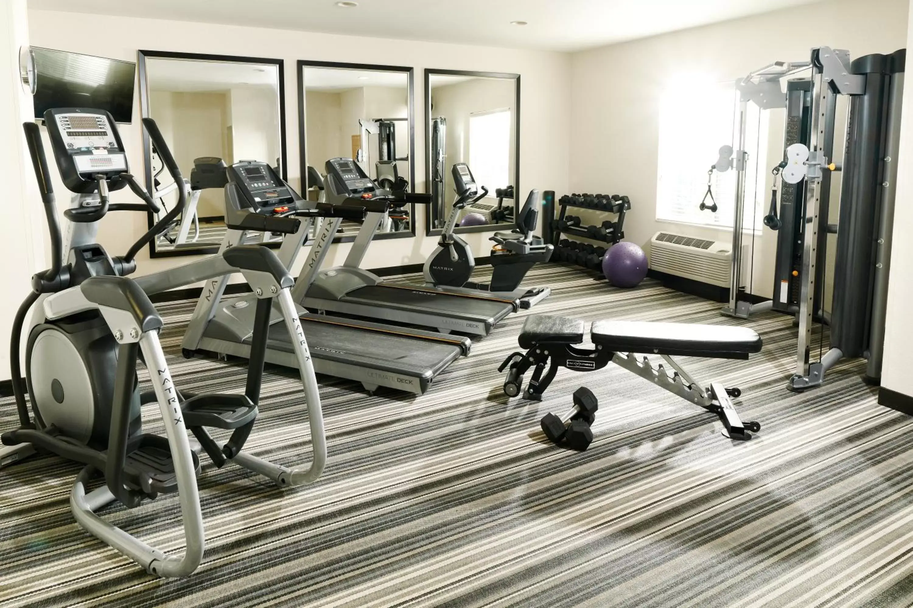 Fitness centre/facilities, Fitness Center/Facilities in Sonesta Simply Suites Detroit Ann Arbor