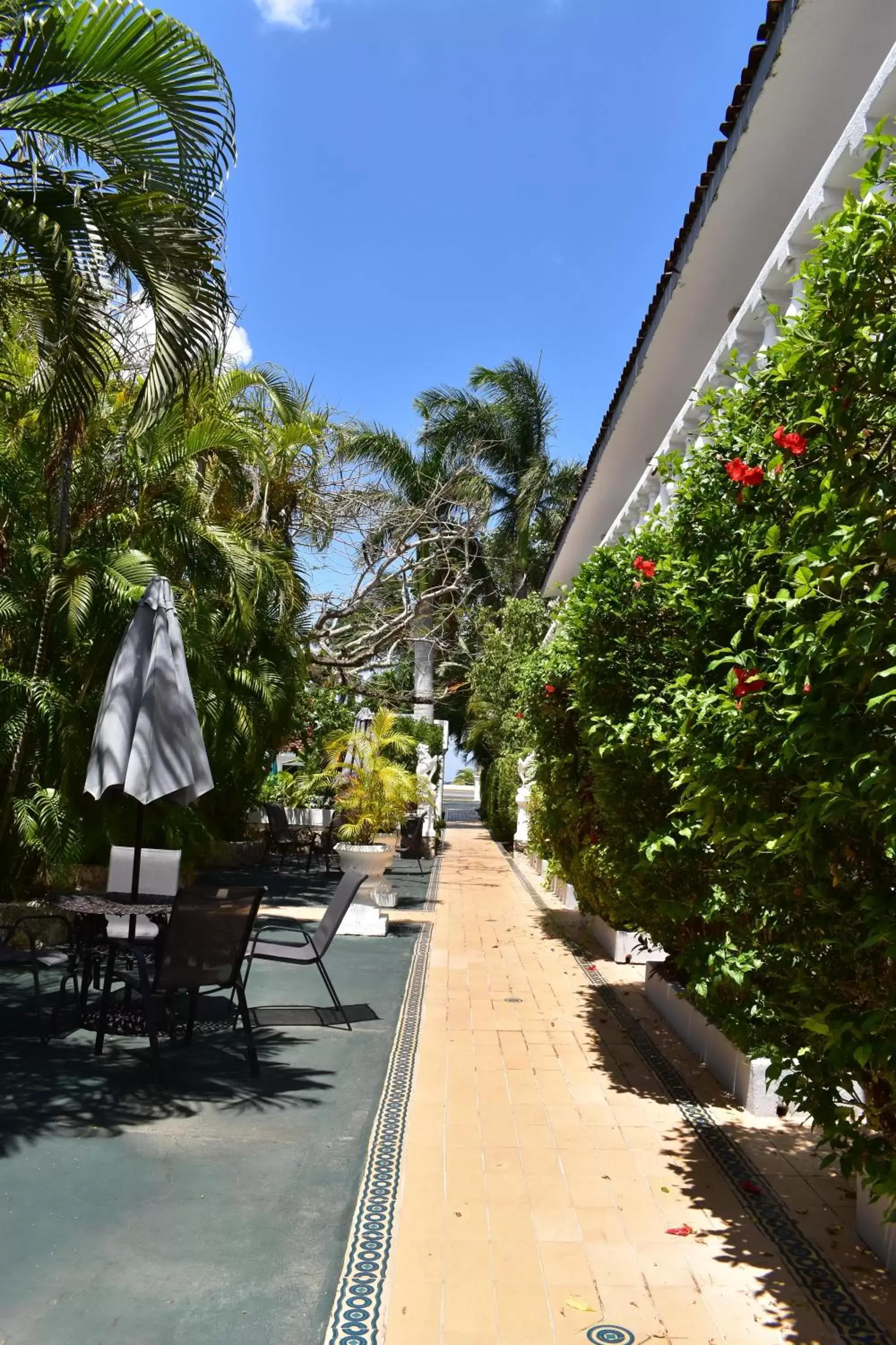 Garden in Villablanca Garden Beach Hotel