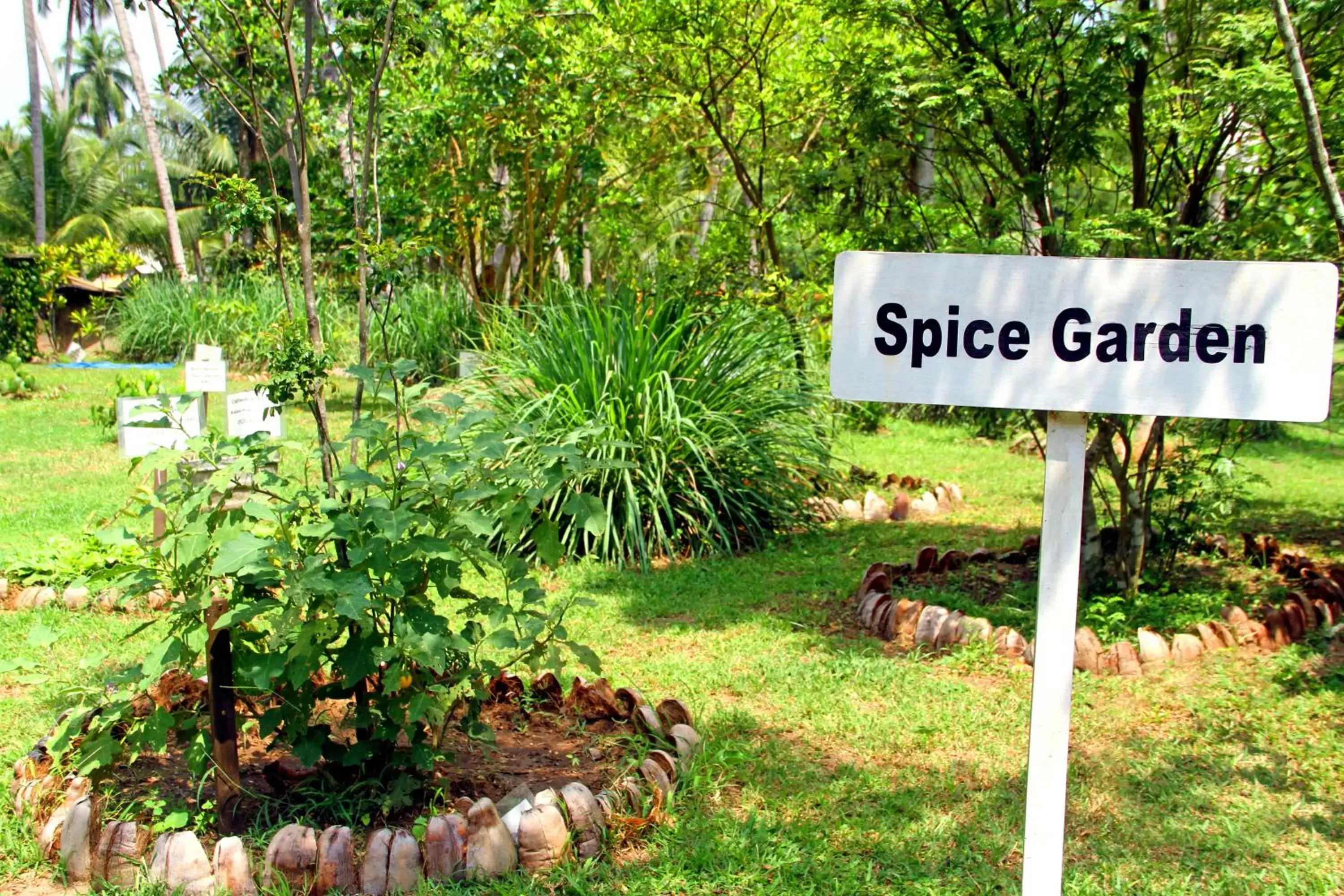 Garden in Oreeka - Katunayake Airport Transit Hotels