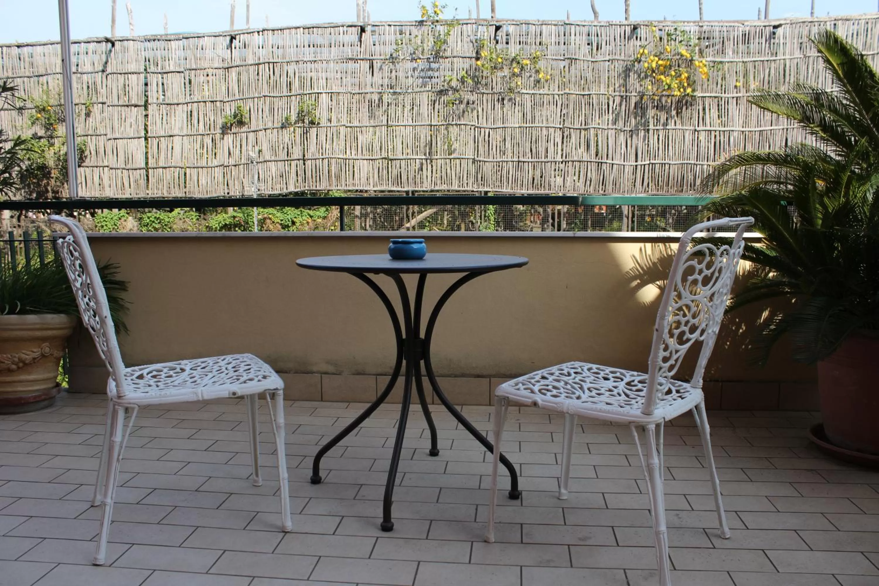 Balcony/Terrace in Lemon Rooms Sorrento