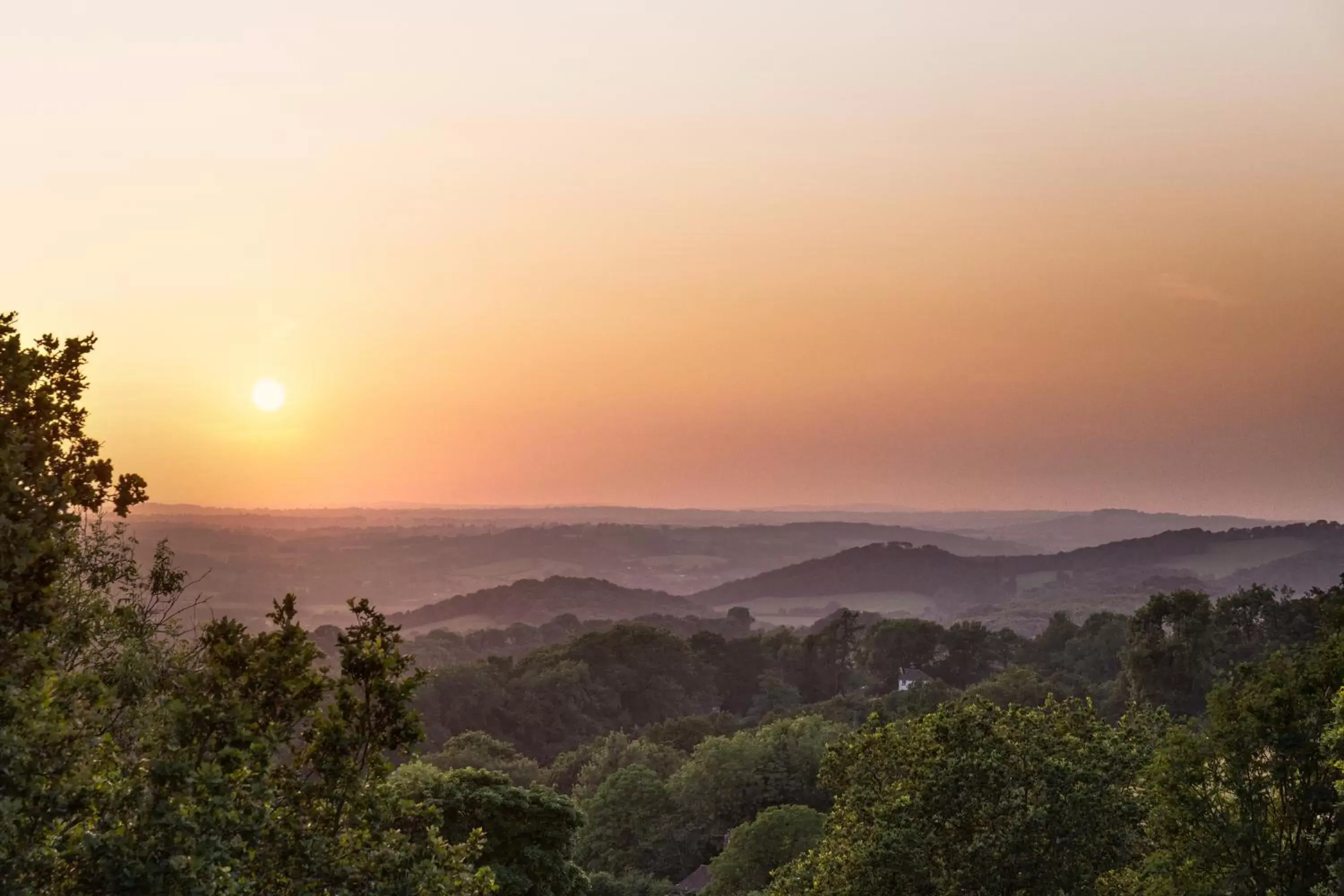 Natural landscape in Mount Pleasant Hotel