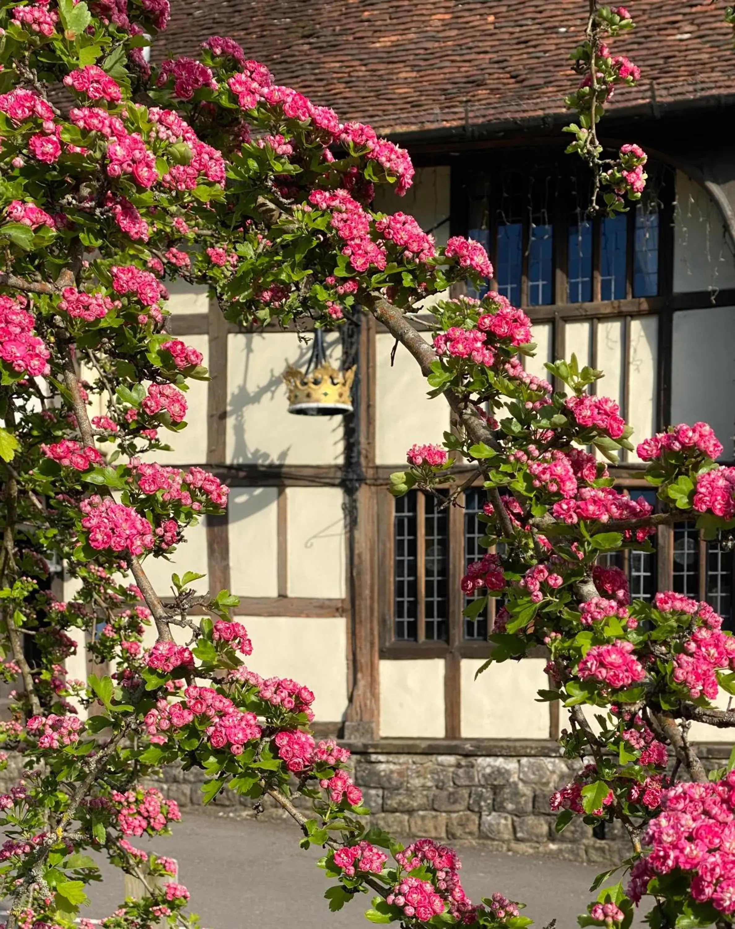 Property Building in The Crown Inn