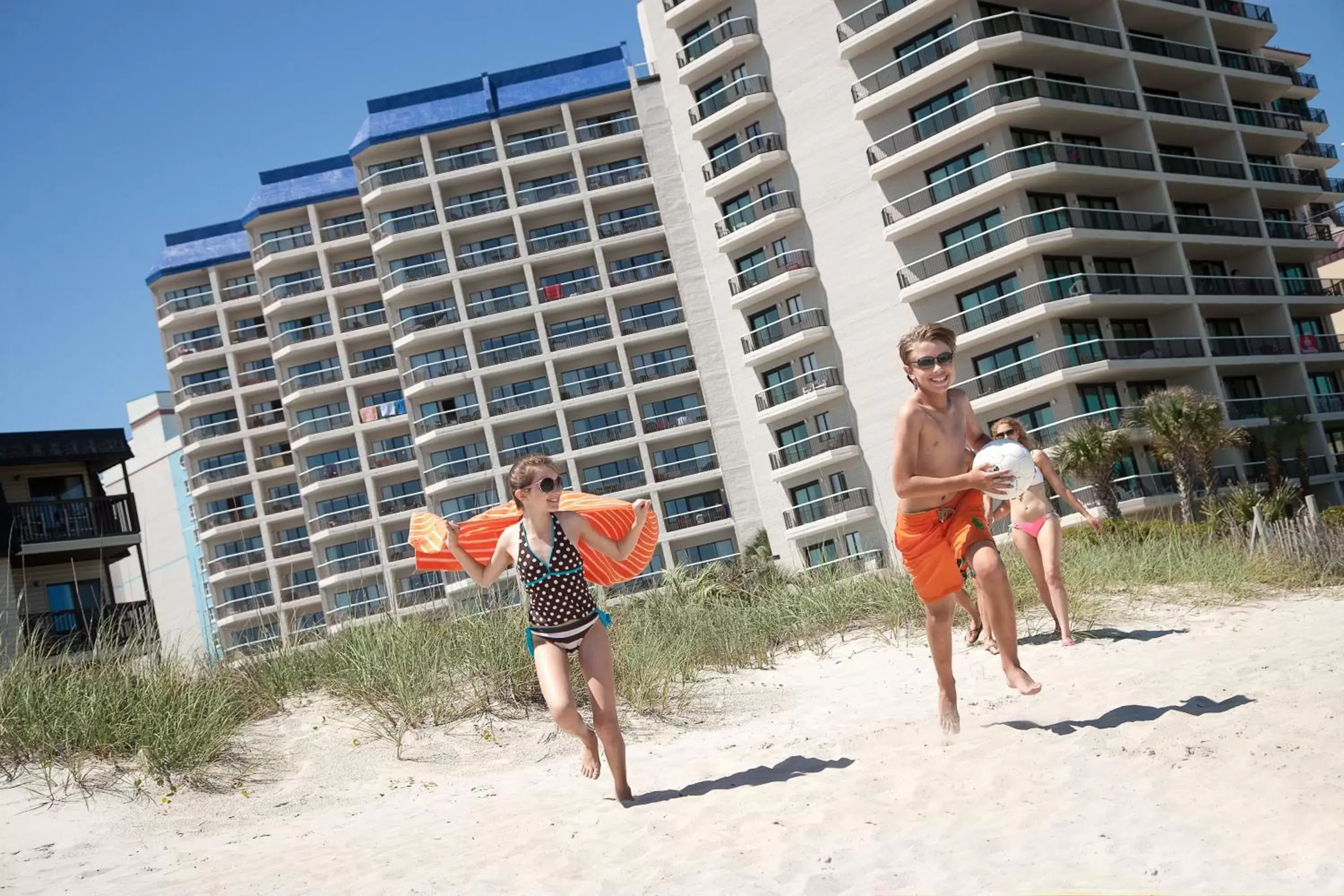 Beach in Carolina Winds